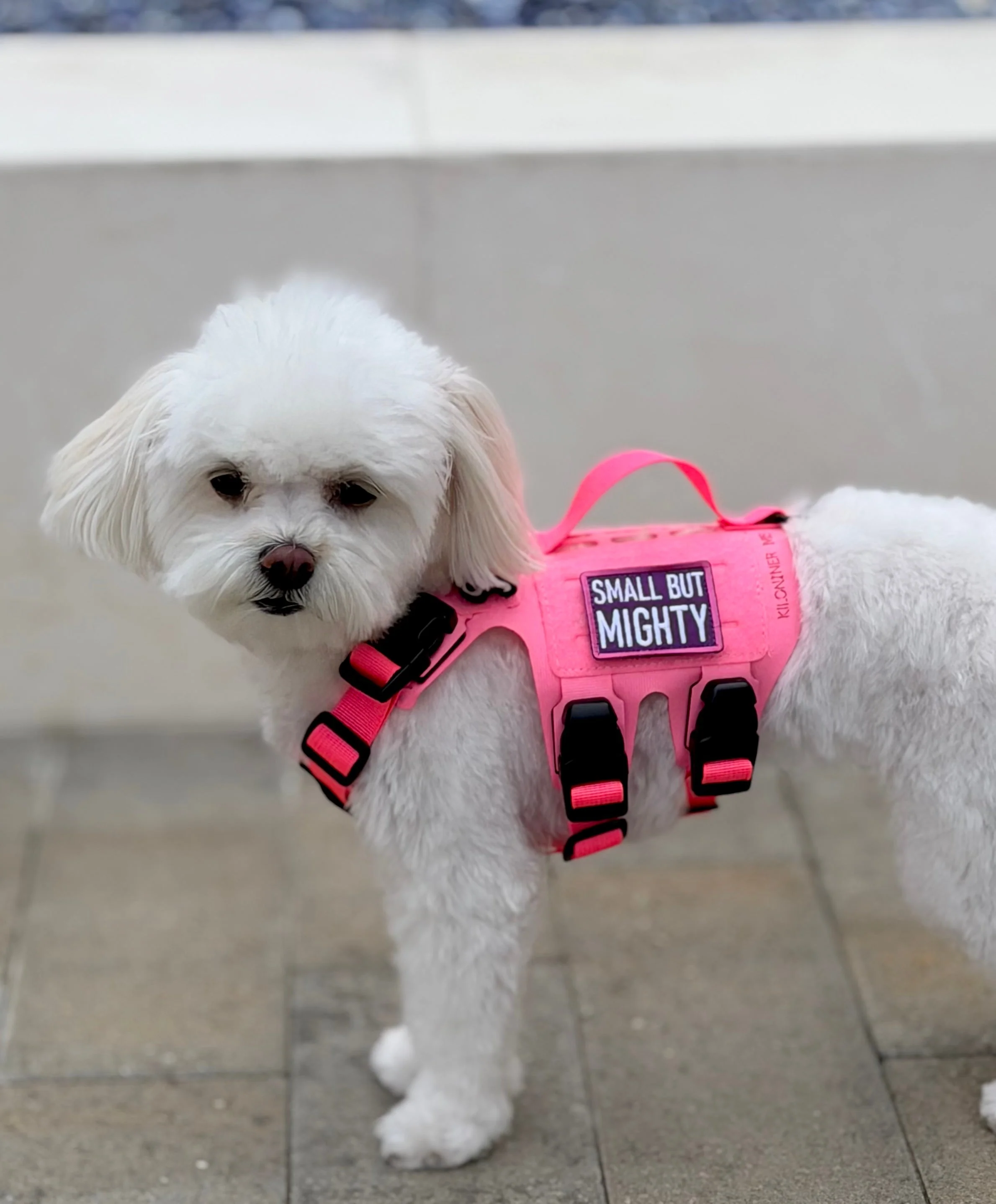 Small But Mighty (Pink & Purple) Morale Patch - Image 5