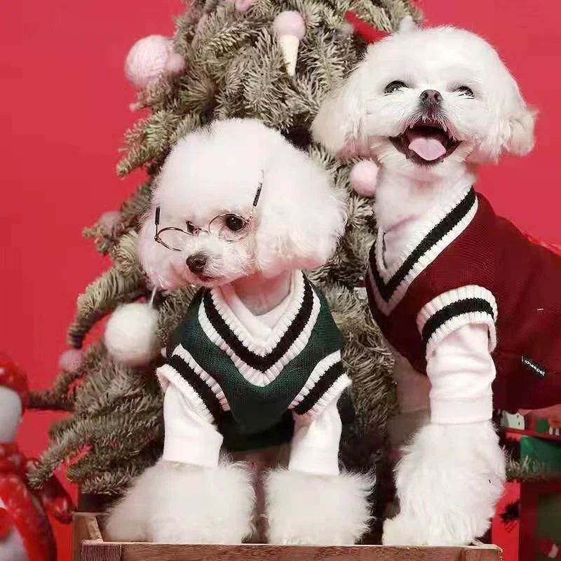 Small Dog Winter Sweater - V-Neck College Style Knitwear - Image 2