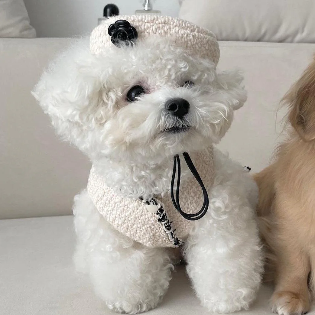 Small Pet Knitted Hat - Image 6