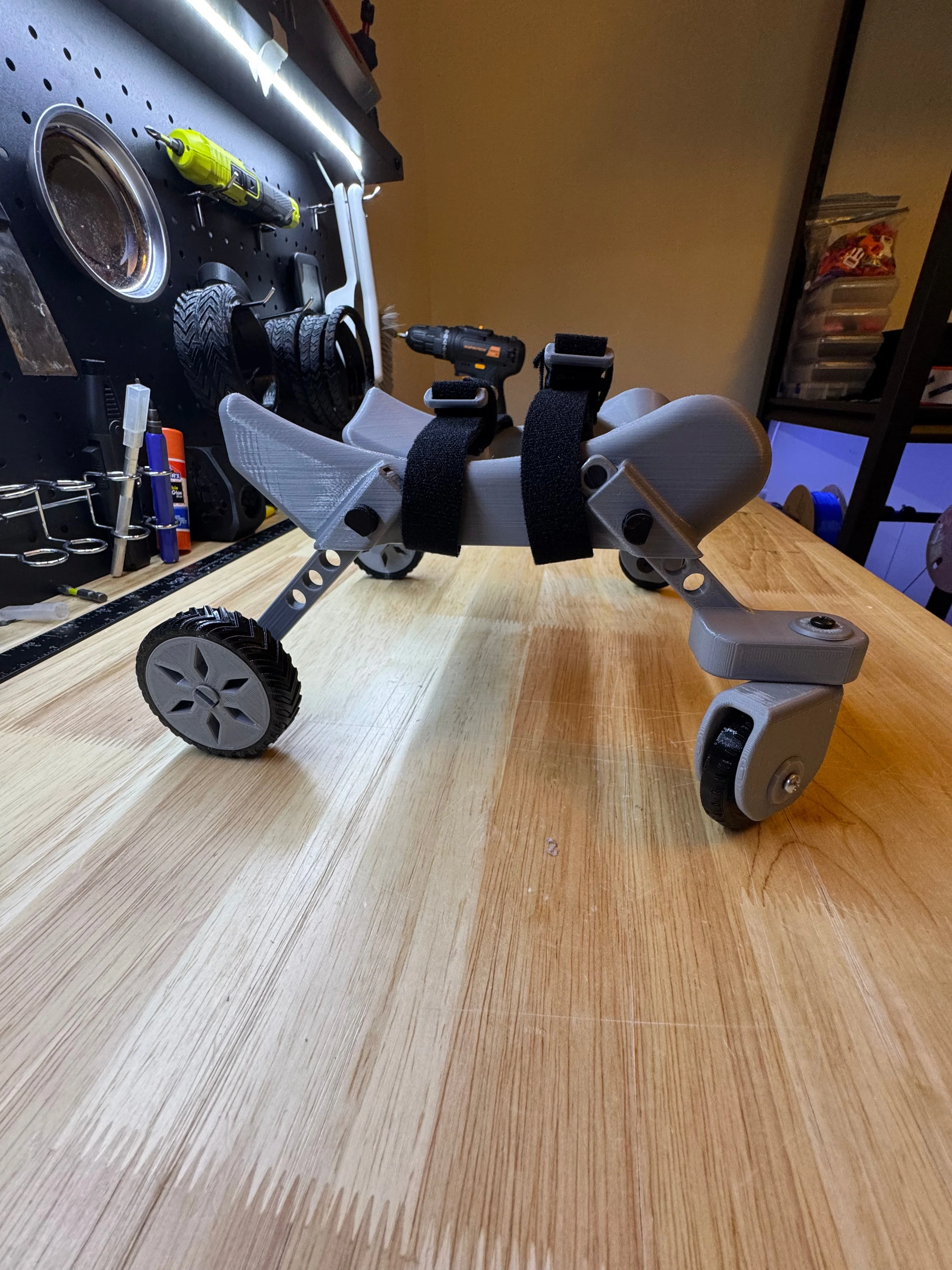 Smaller Chicken Wheelchair - Image 4