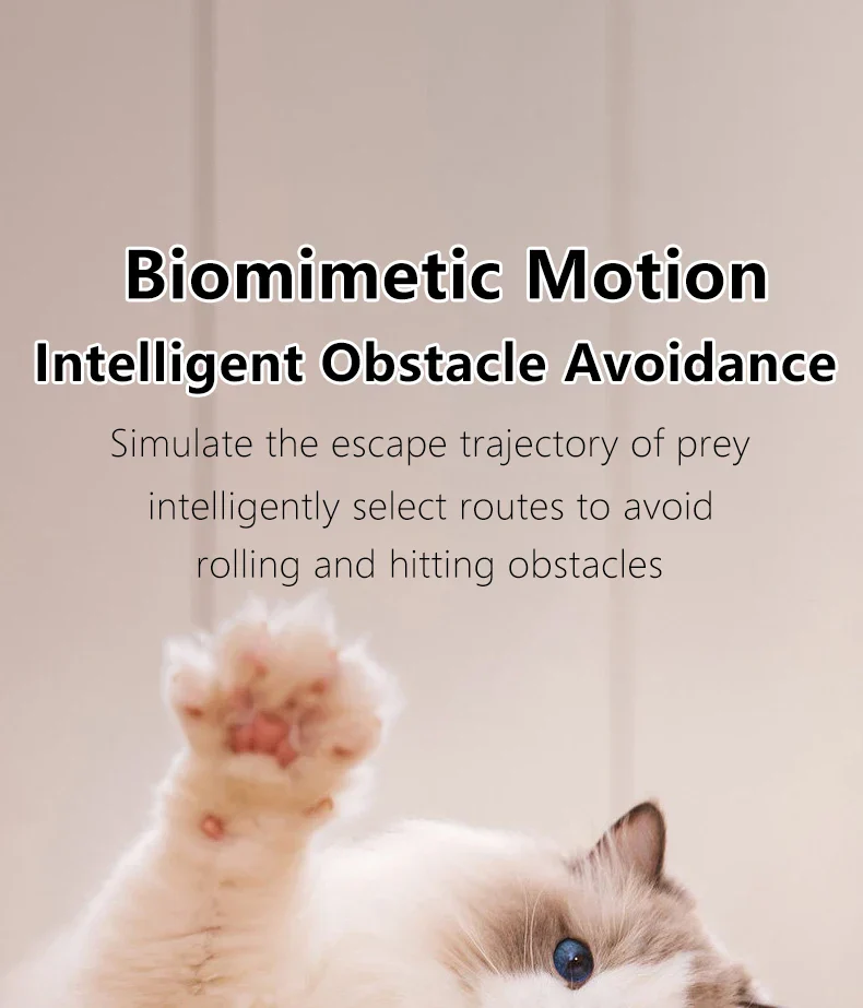 Smart Cat Toy Ball: Auto-Rolling for Active Play - Image 12