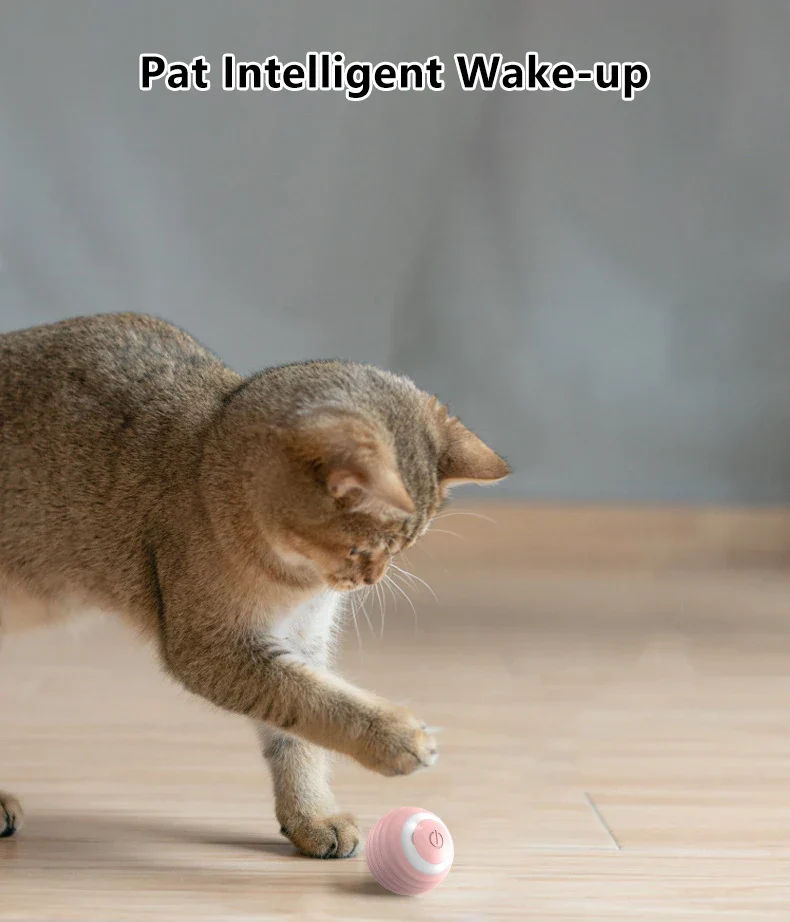 Smart Cat Toy Ball: Auto-Rolling for Active Play - Image 14