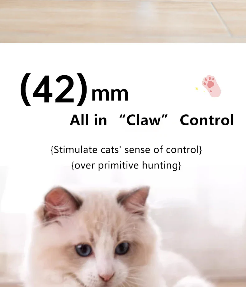 Smart Cat Toy Ball: Auto-Rolling for Active Play - Image 15