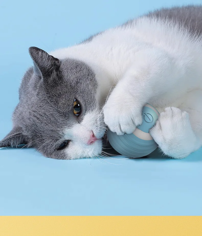 Smart Cat Toy Ball: Auto-Rolling for Active Play - Image 17