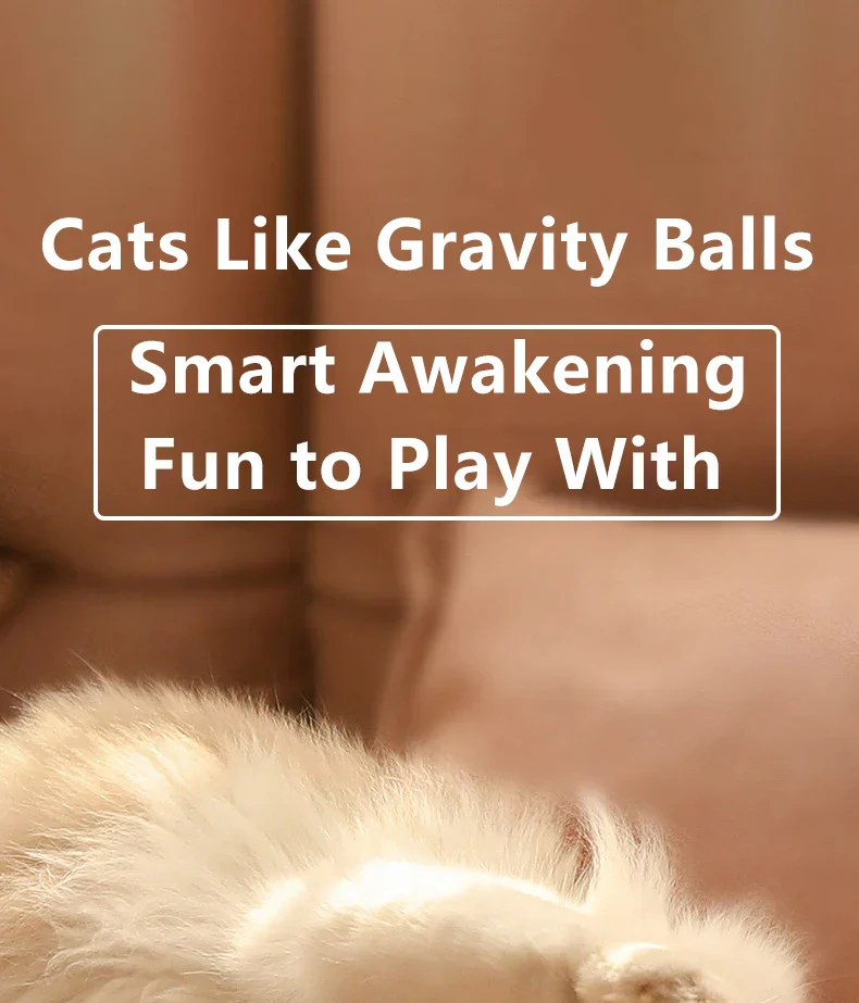 Smart Cat Toy Ball: Auto-Rolling for Active Play - Image 8