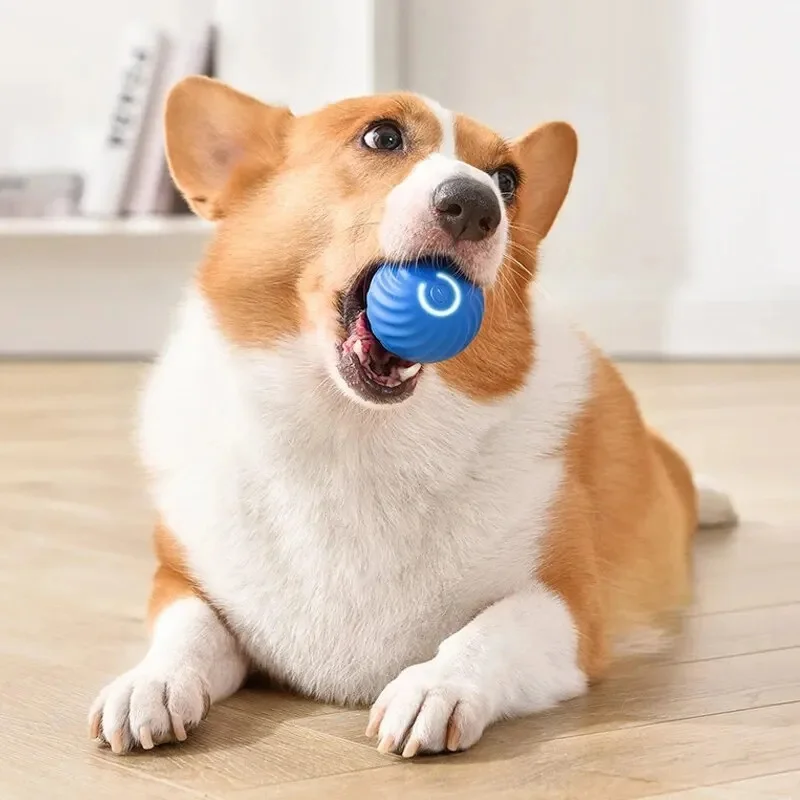 Smart Interactive Dog Toy Ball - Image 15