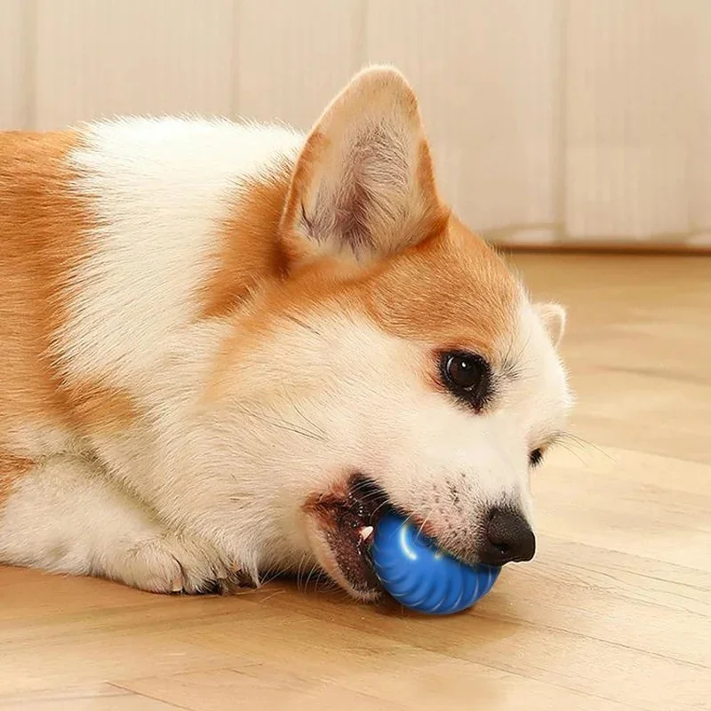 Smart Interactive Dog Toy Ball - Image 16
