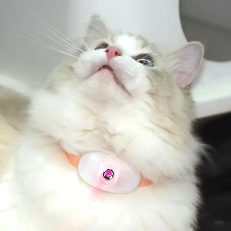 Smart Laser Cat Teaser Collar – Rechargeable Infrared Interactive Toy - Image 3