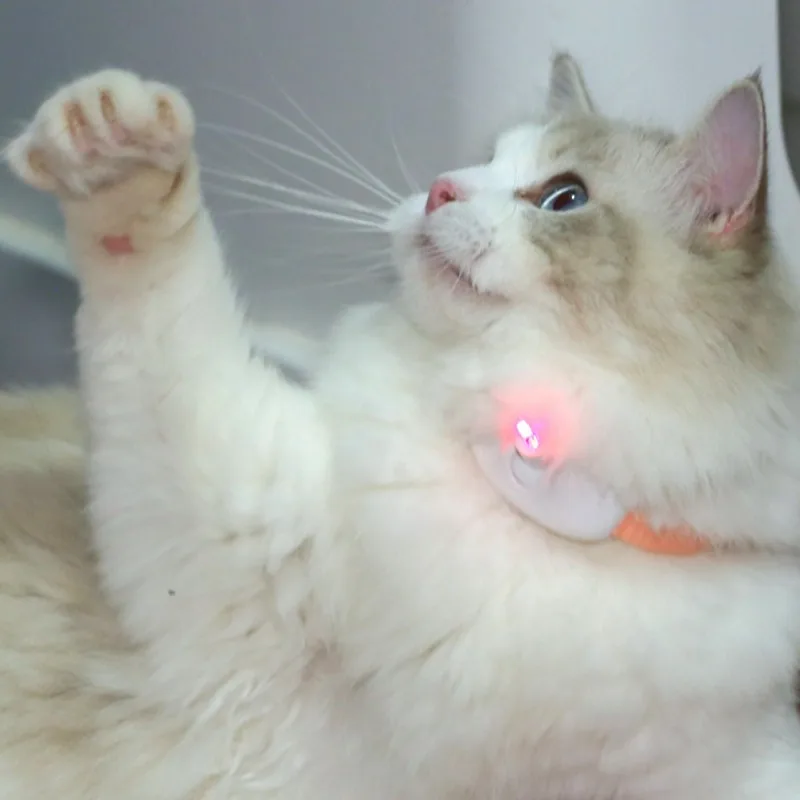 Smart Laser Cat Teaser Collar – Rechargeable Infrared Interactive Toy - Image 5