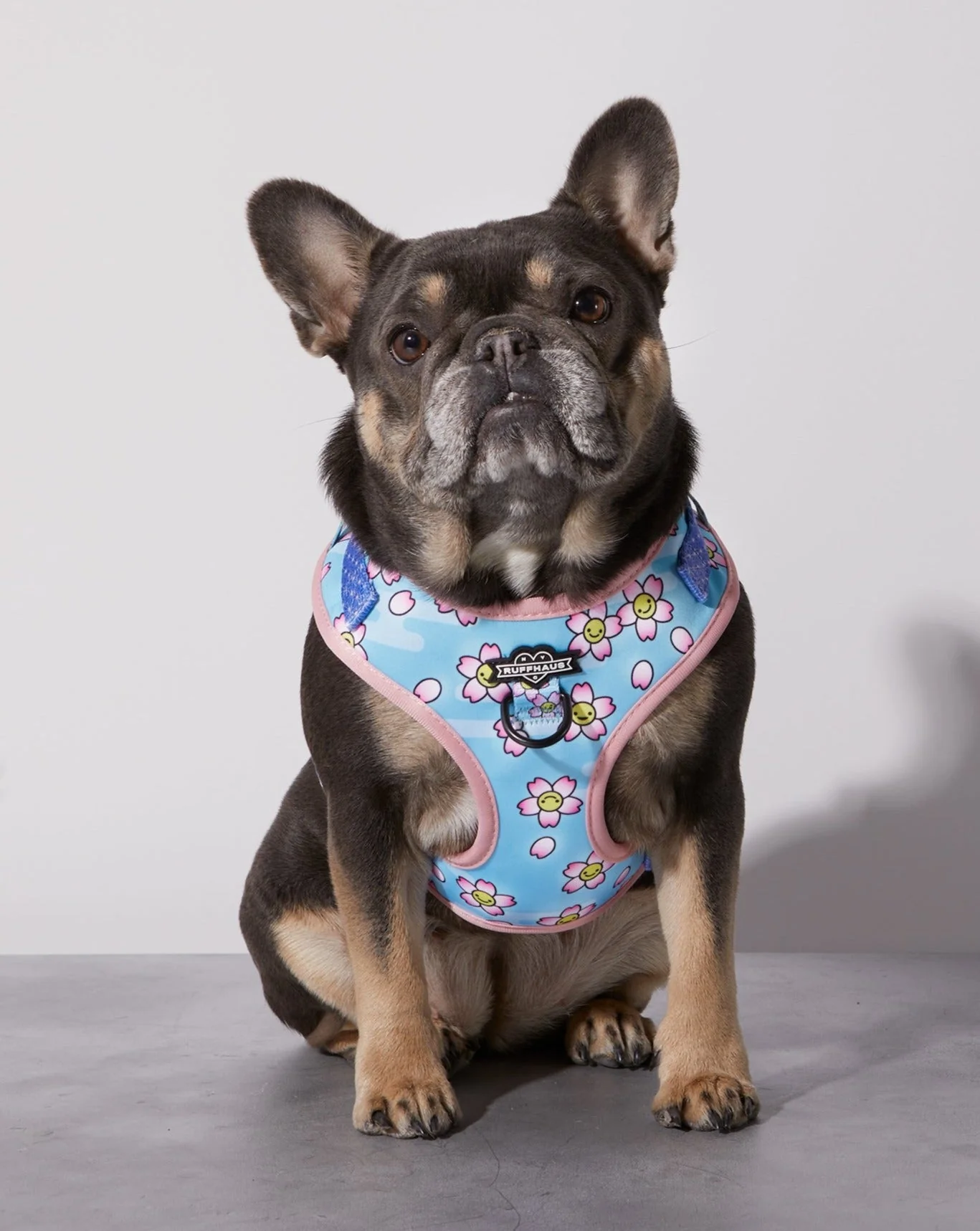 Smiling Sakura Adjustable Harness - Image 2