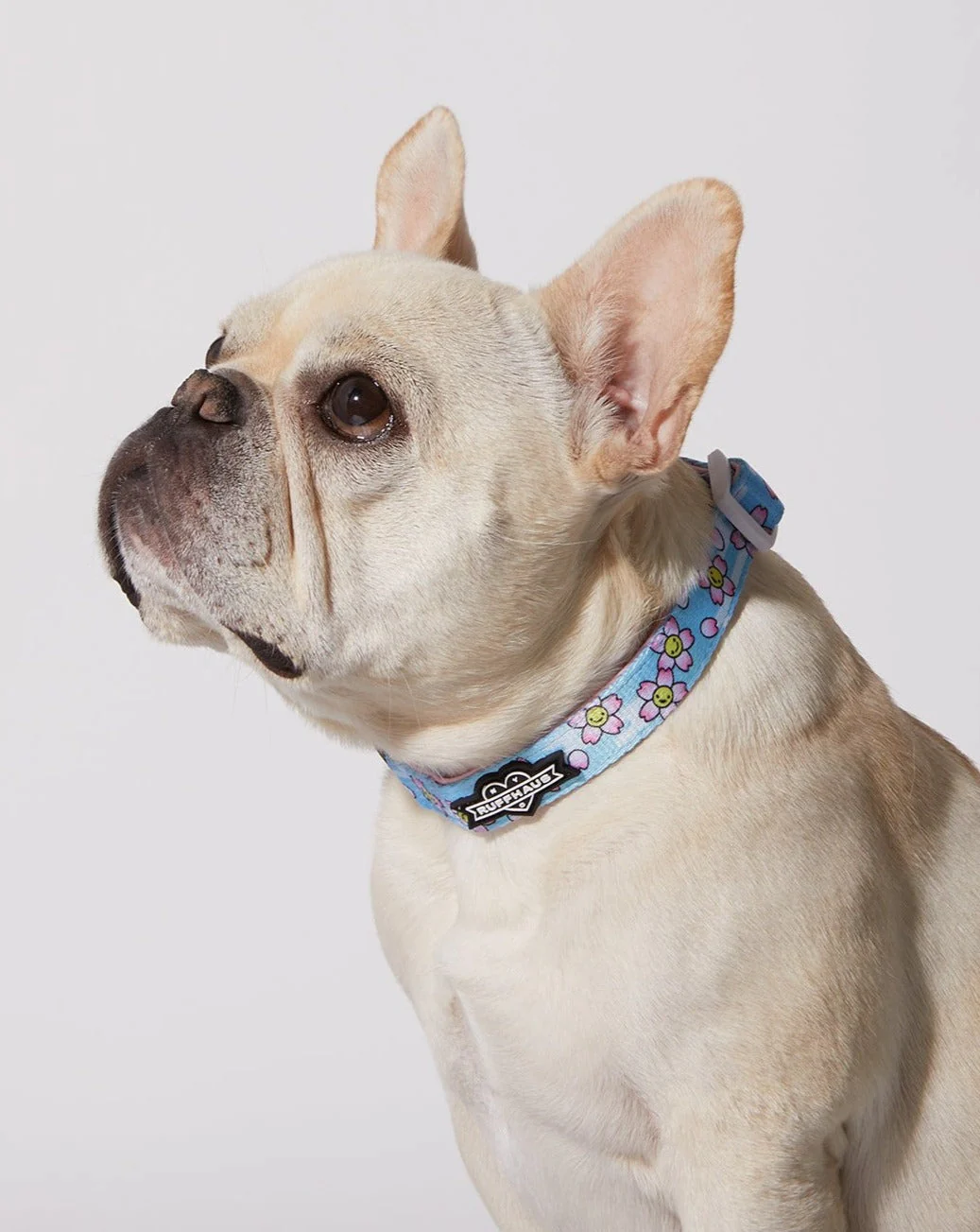Smiling Sakura Dog Collar & Bowtie - Image 3
