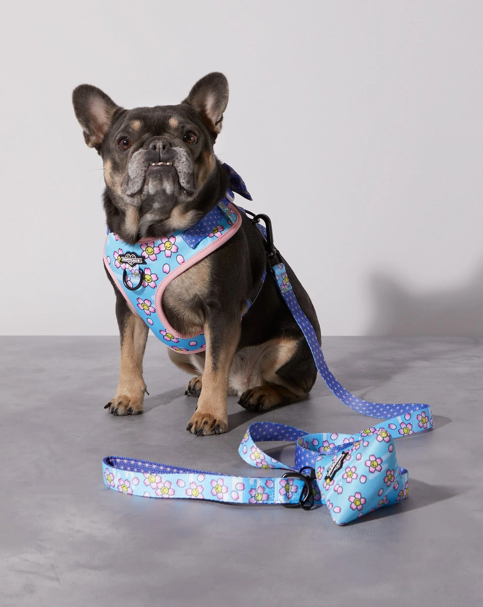 Smiling Sakura Dog Leash - Image 3