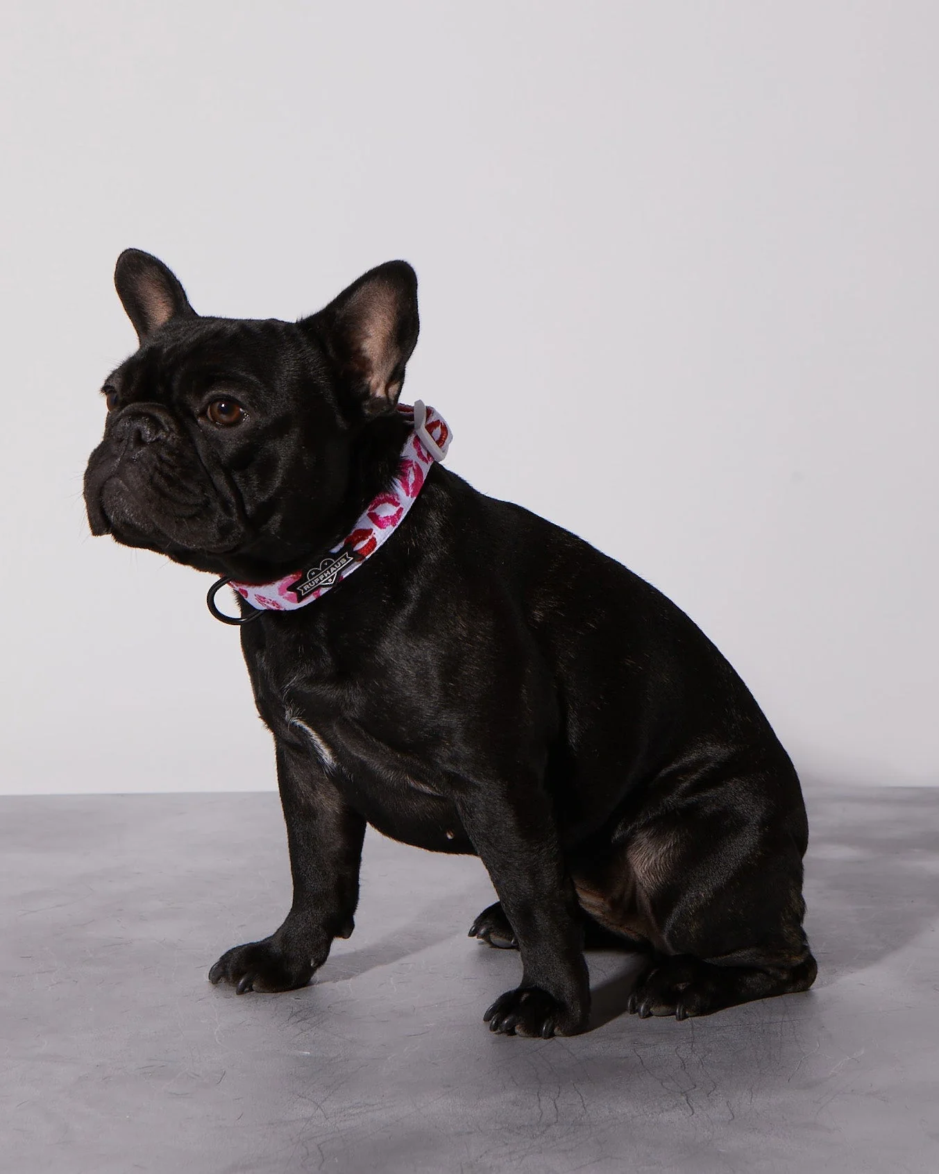 Smooch My Pooch Dog Collar & Bowtie - Image 3