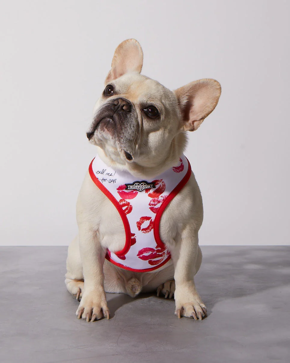 Smooch My Pooch Reversible Harness - Image 2