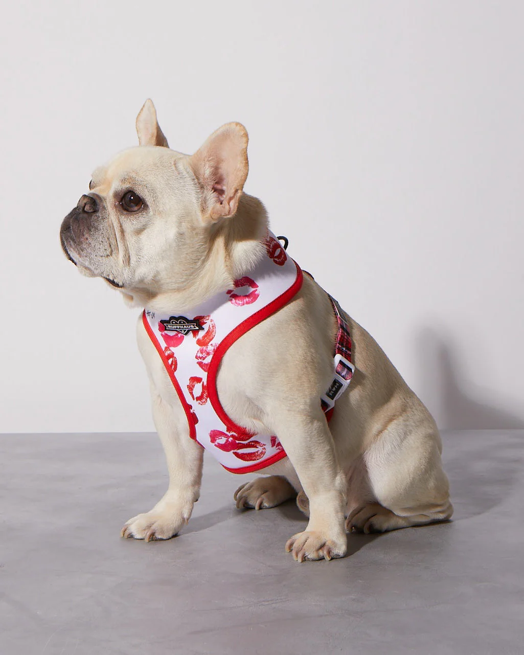 Smooch My Pooch Reversible Harness - Image 3