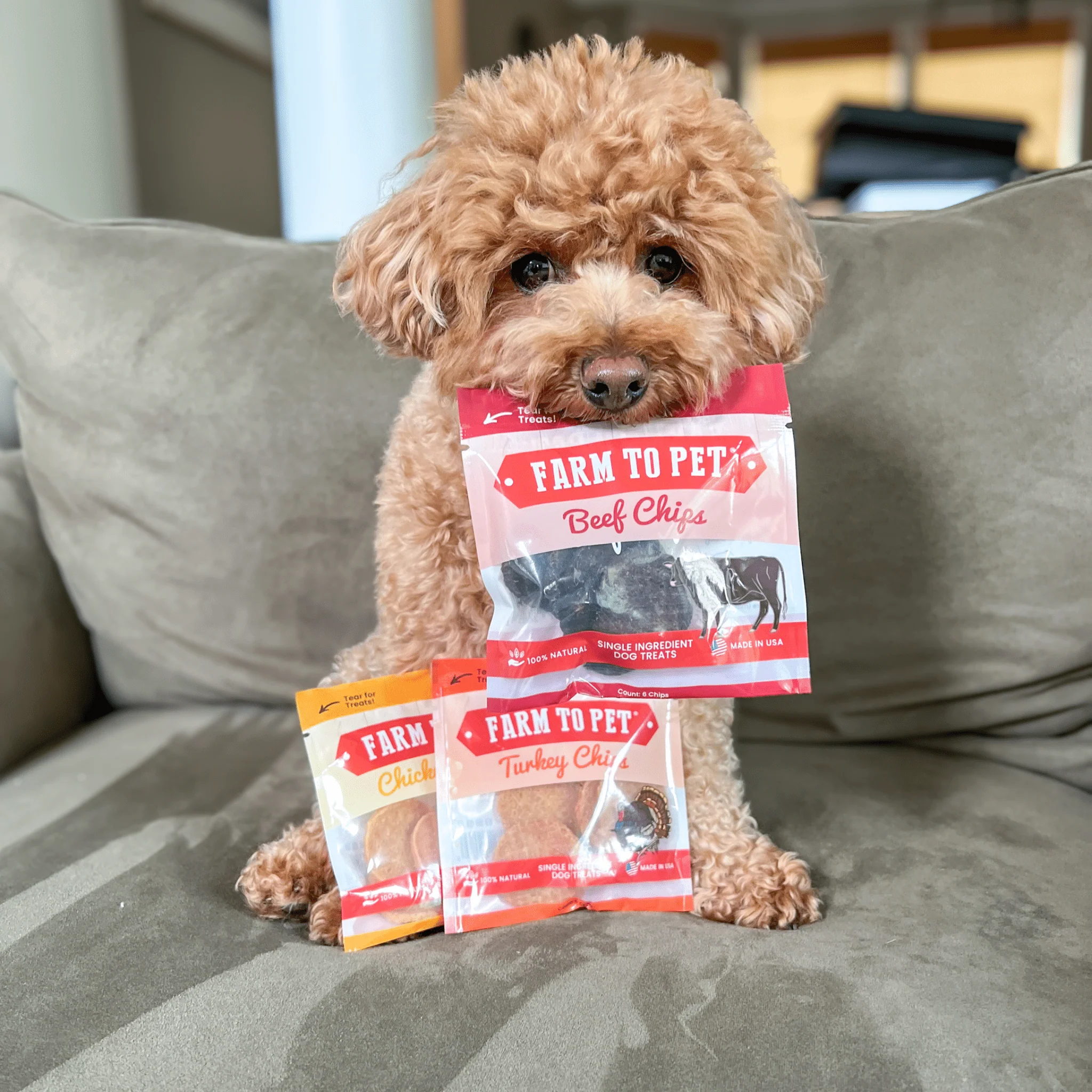 Snack Pack Dog Treat Sampler - Image 10