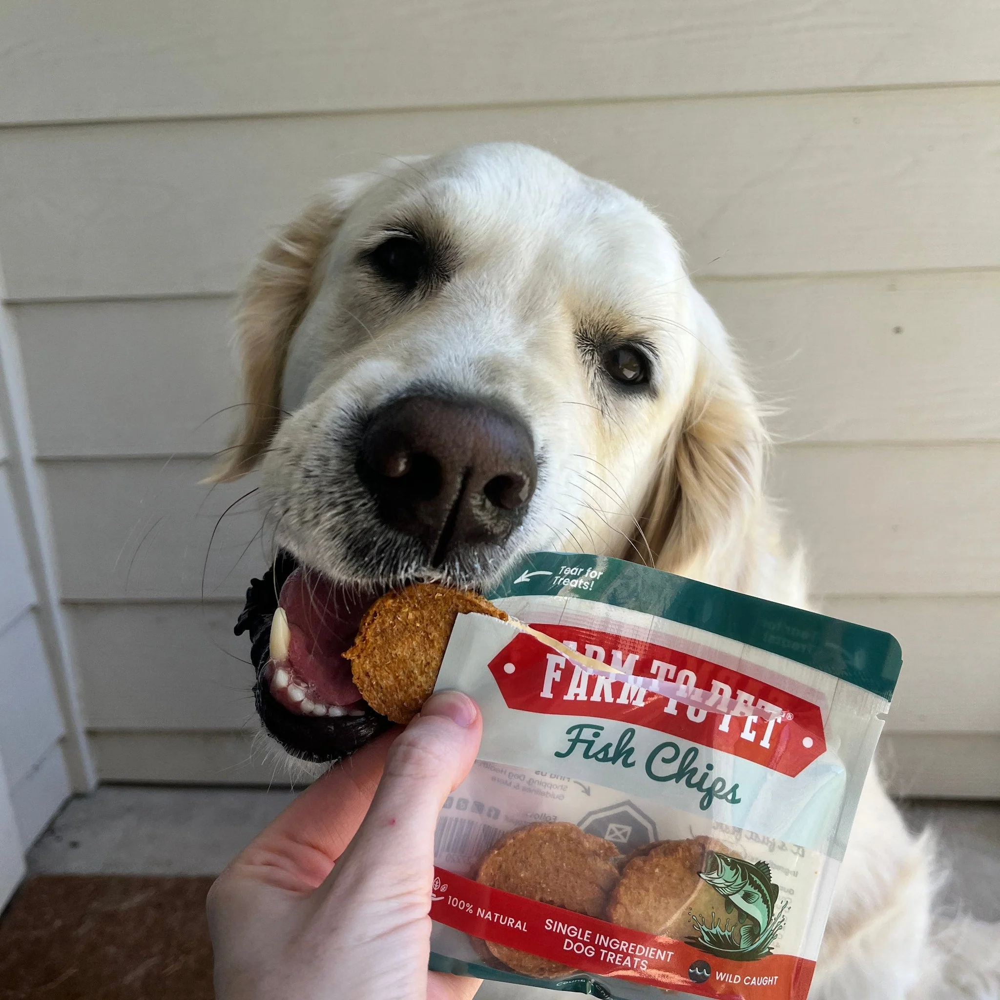 Snack Pack Dog Treat Sampler - Image 11