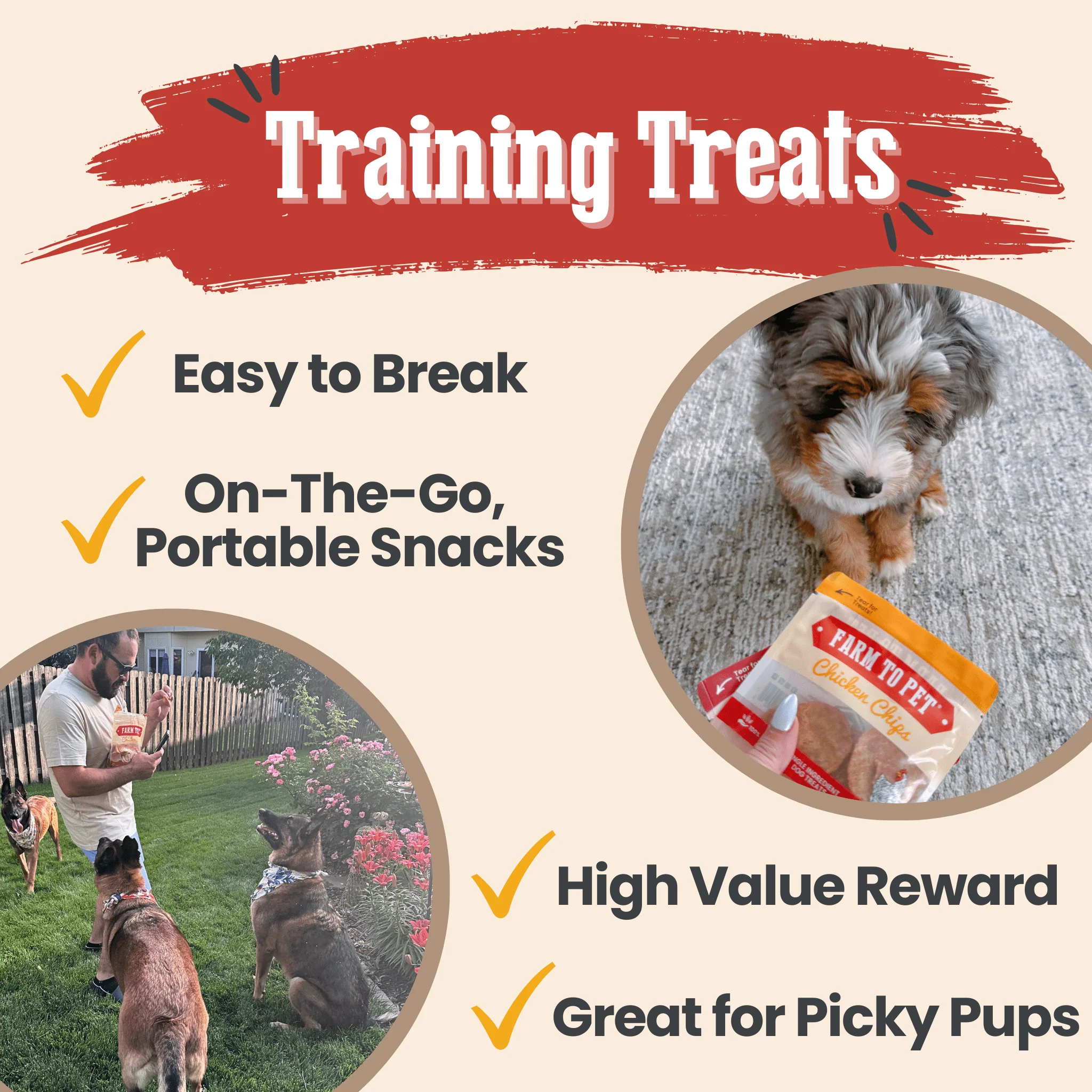 Snack Pack Dog Treat Sampler - Image 12