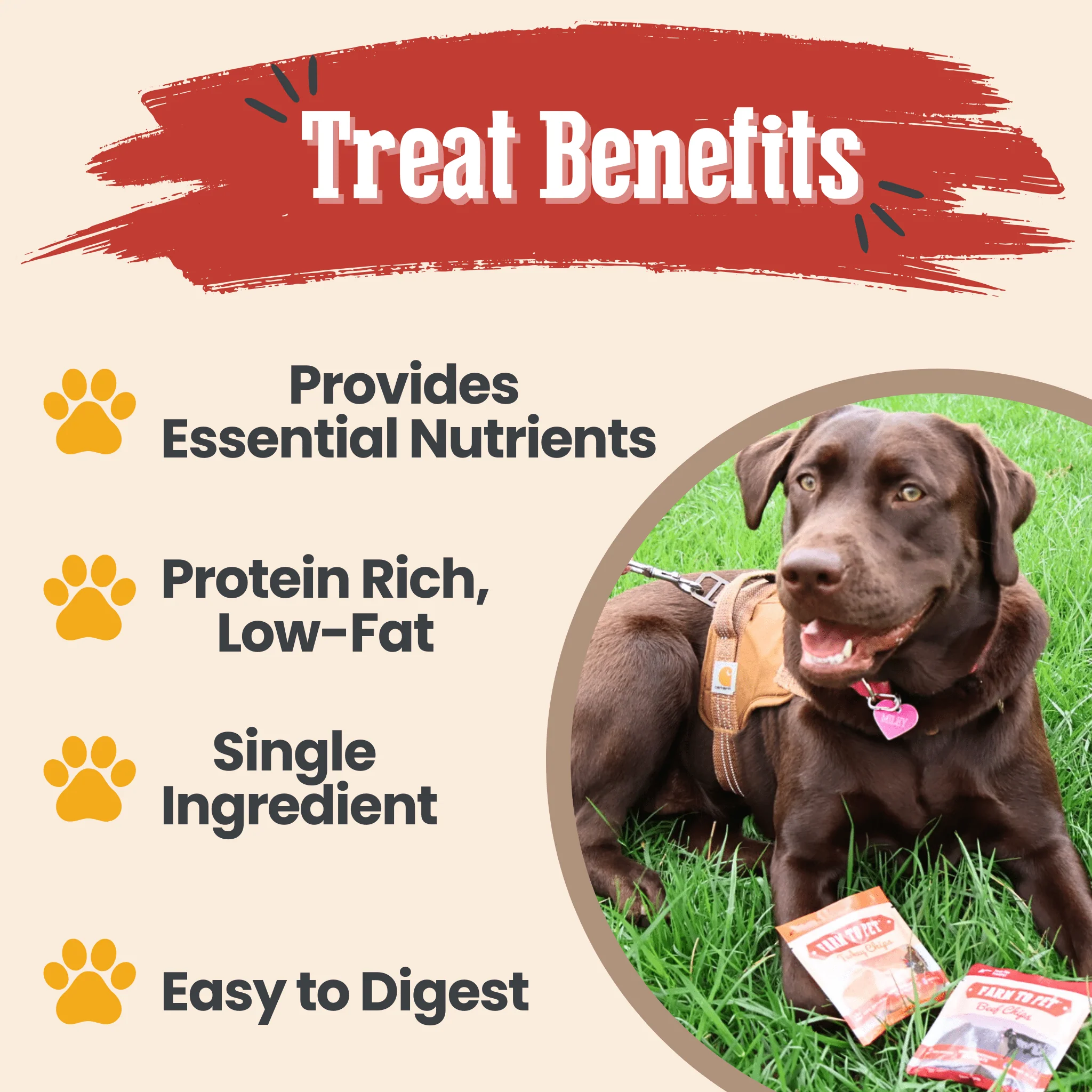 Snack Pack Dog Treat Sampler - Image 13