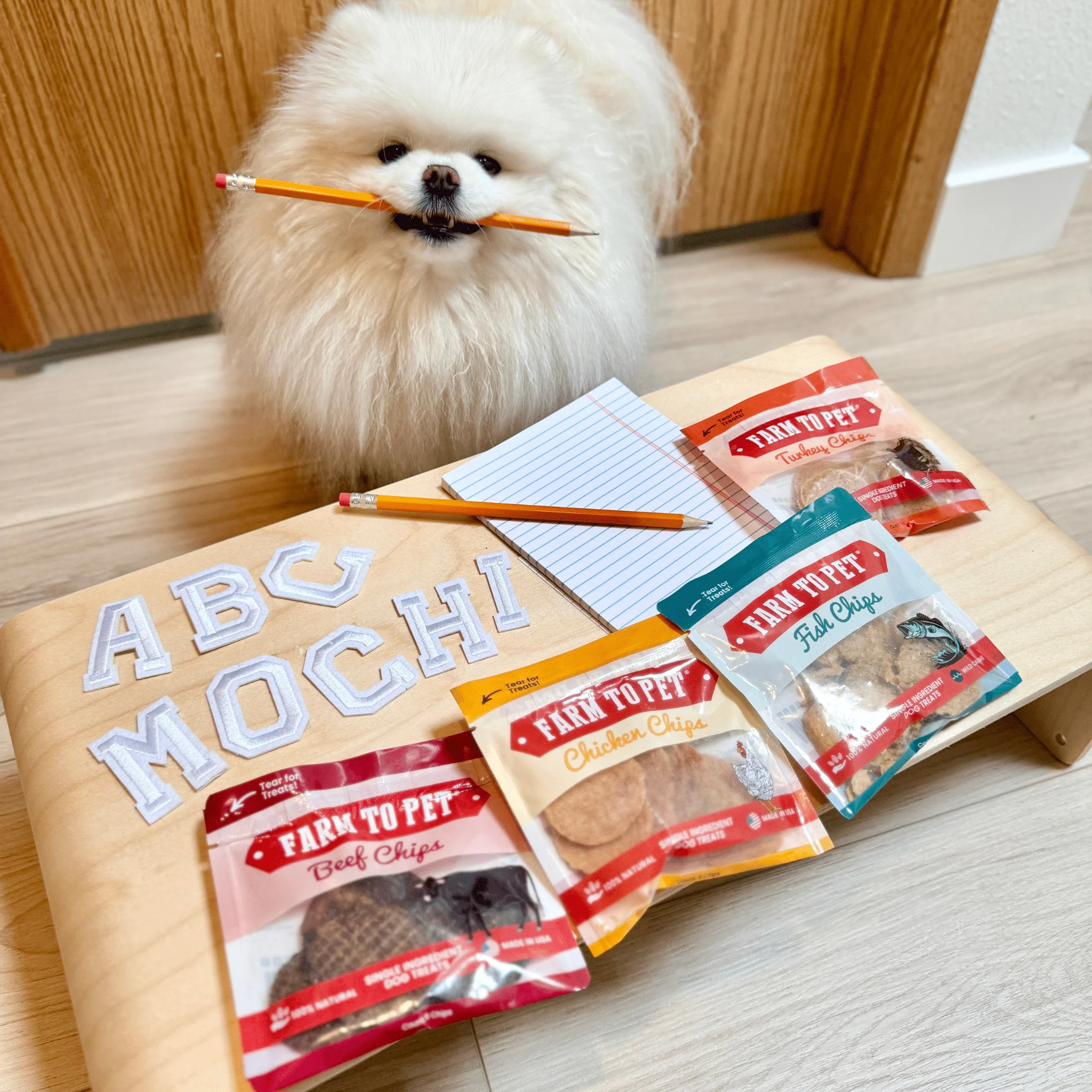 Snack Pack Dog Treat Sampler - Image 3