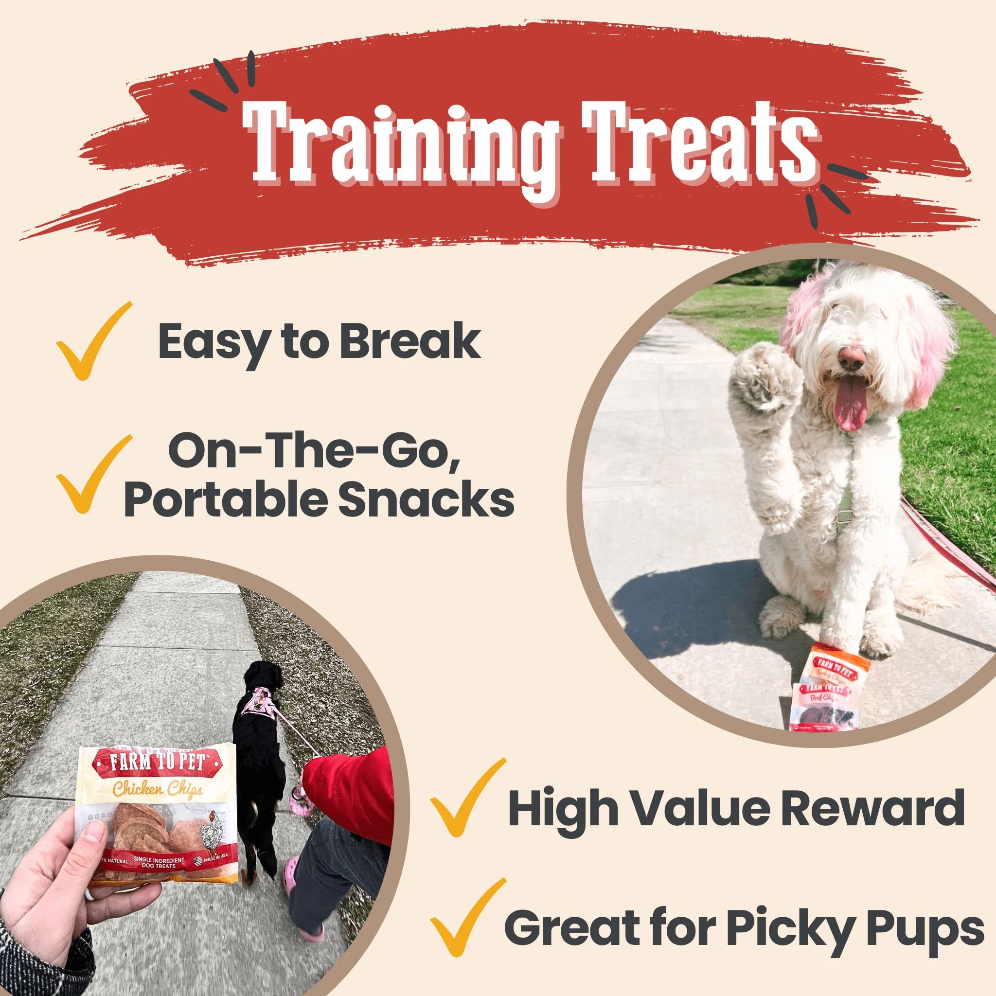Snack Pack Dog Treat Sampler - Image 5