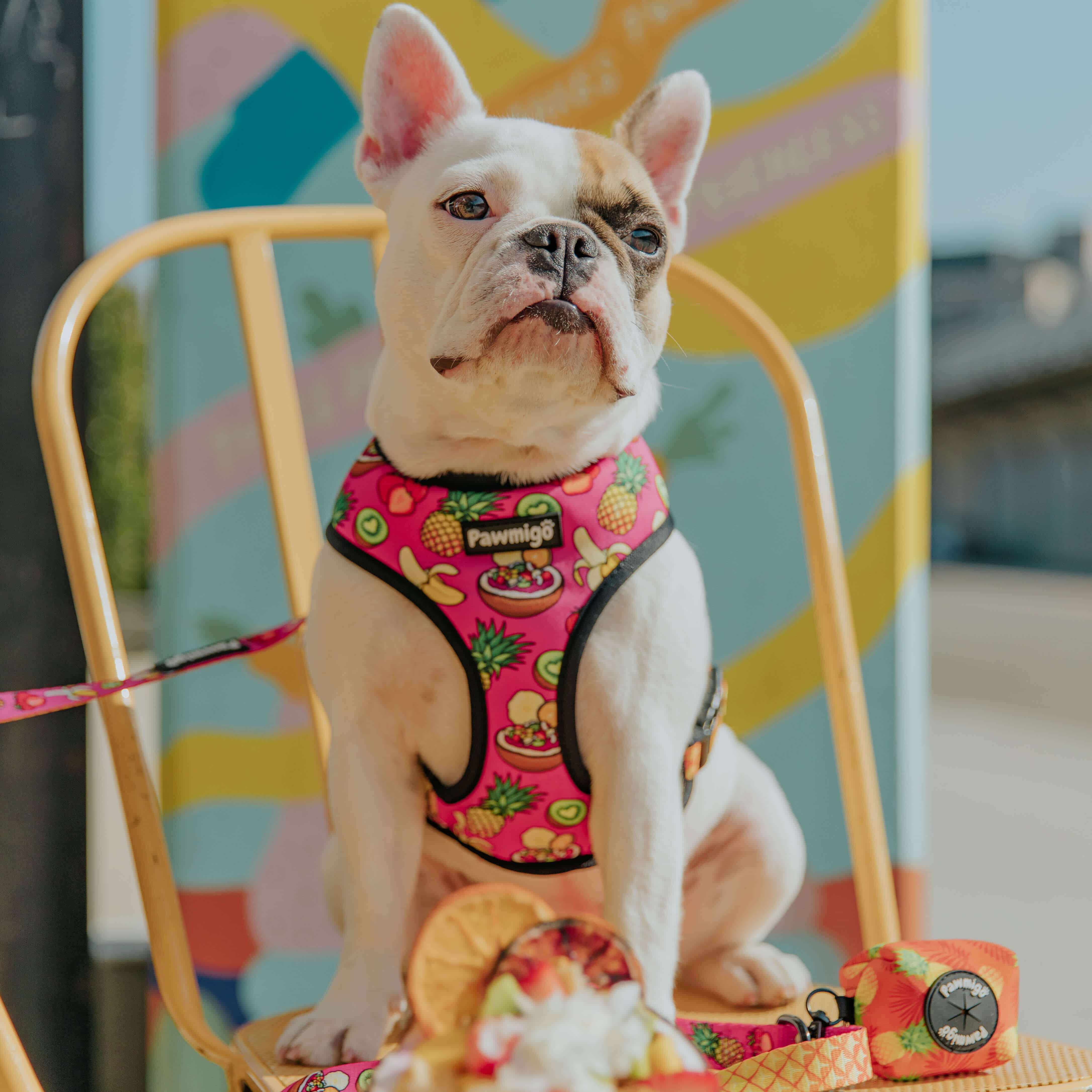 Snack Shack Reversible Harness - Image 2