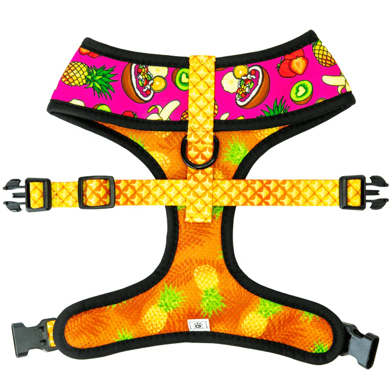 Snack Shack Reversible Harness - Image 7