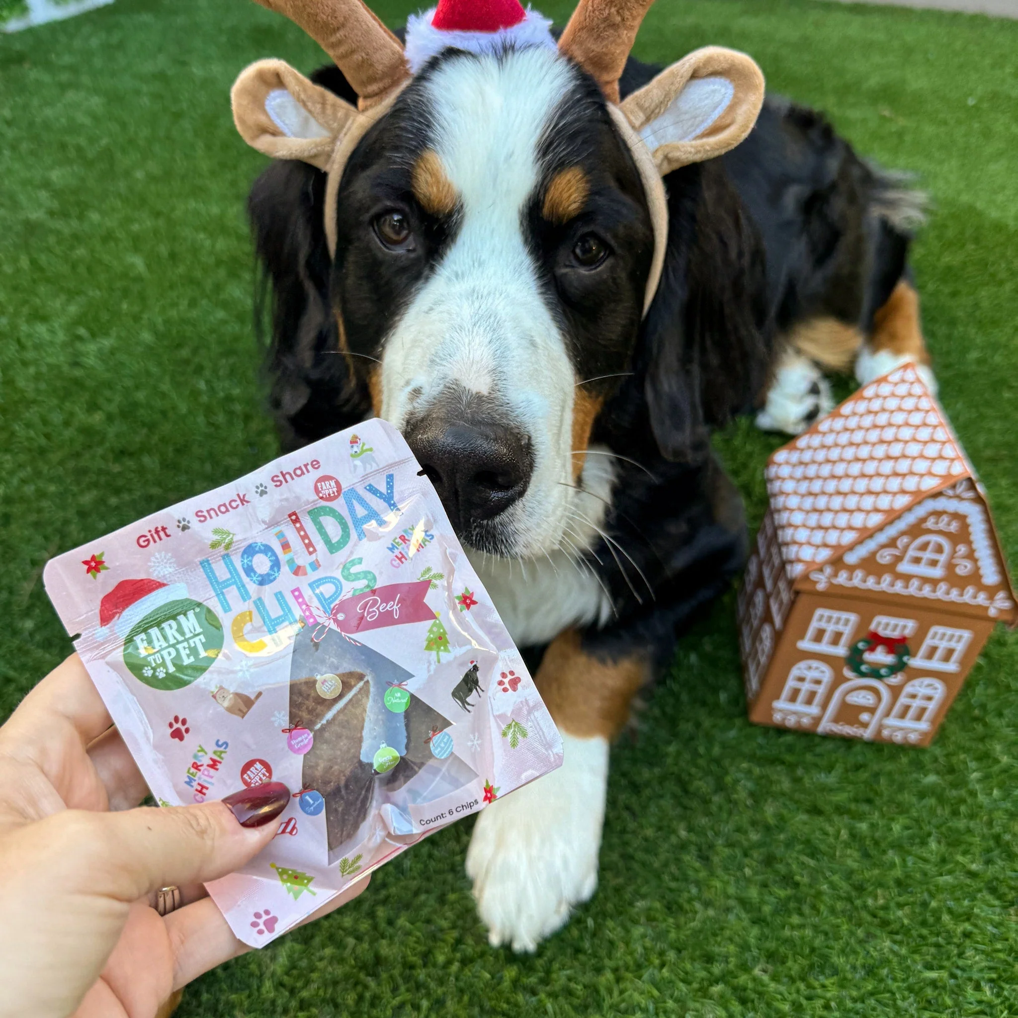 Snack Stuffers Mini Dog Treat Bags - Image 17