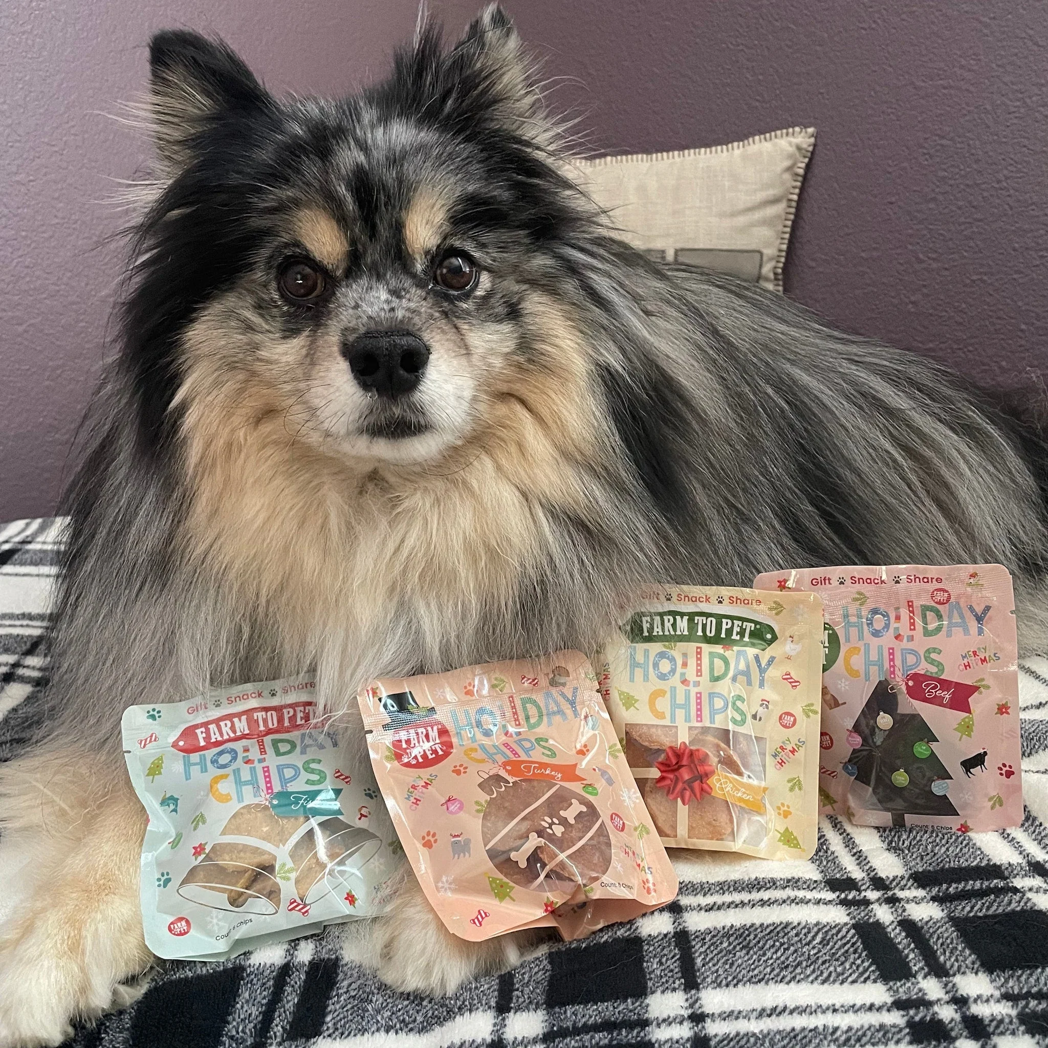 Snack Stuffers Mini Dog Treat Bags - Image 30