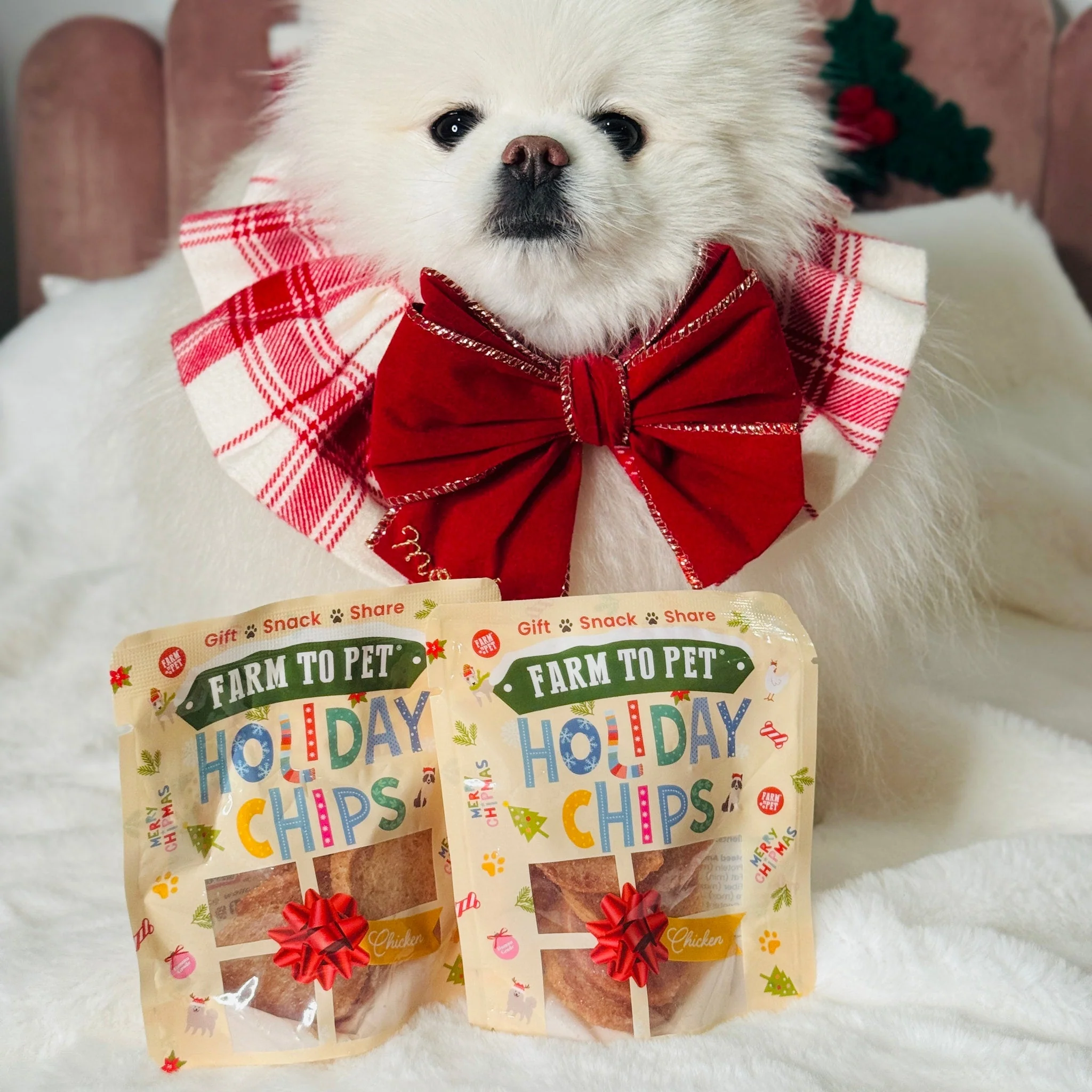 Snack Stuffers Mini Dog Treat Bags - Image 5
