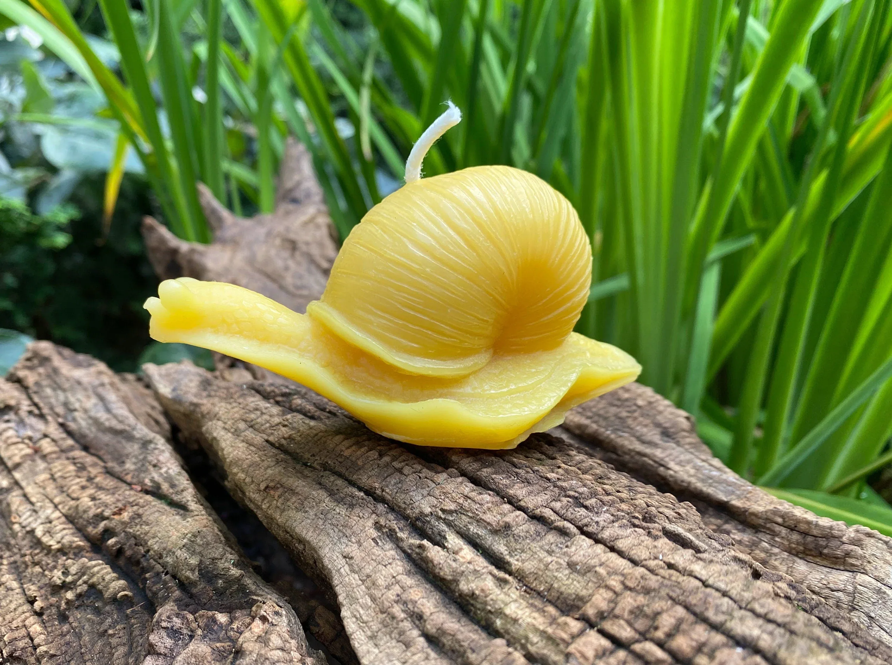 Snail Beeswax Candle - Image 2