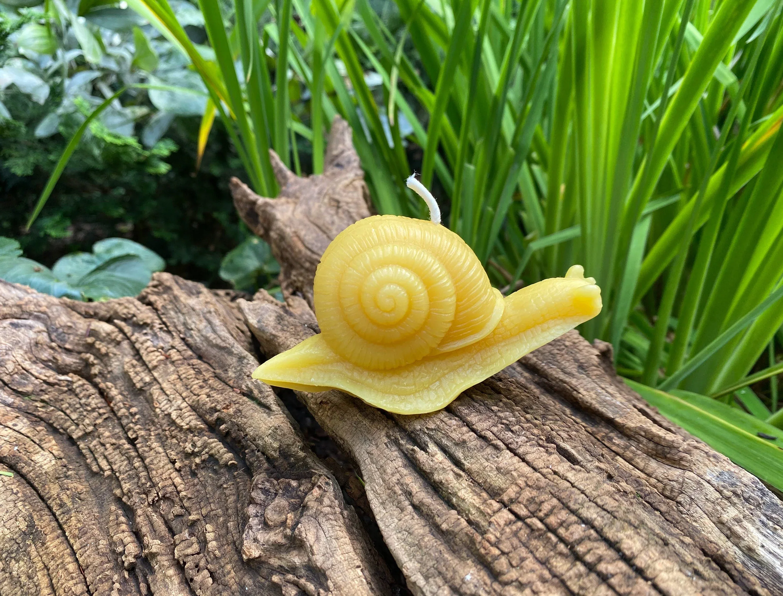 Snail Beeswax Candle - Image 3