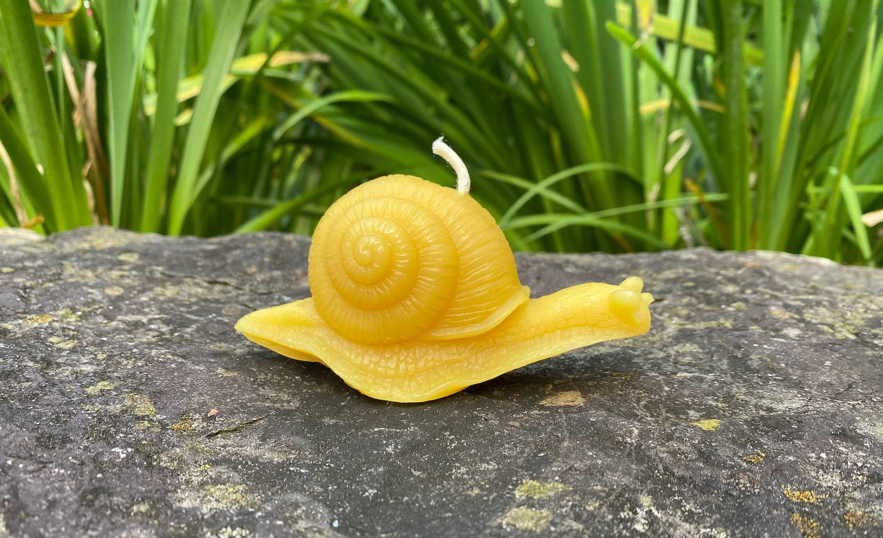 Snail Beeswax Candle - Image 4