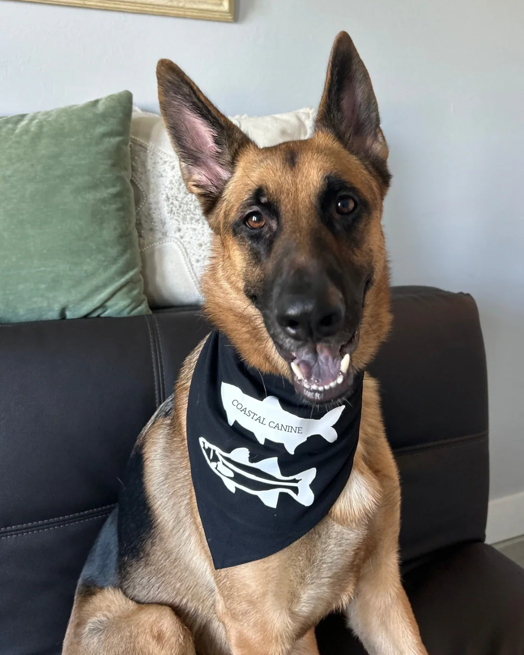 Snook & Tarpon Dog Bandanna - Image 2