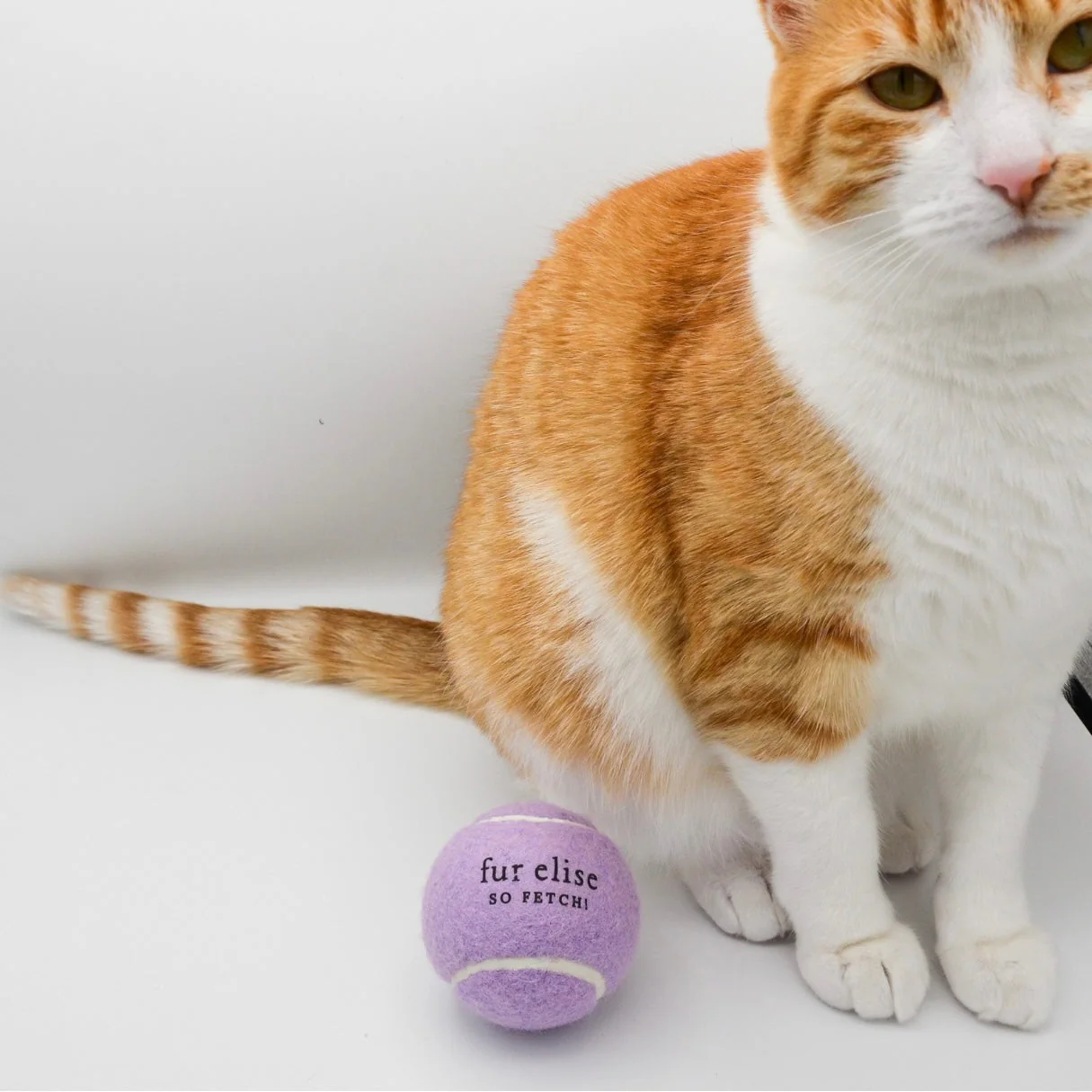 So Fetch! Tennis Ball - Lilac - Image 2