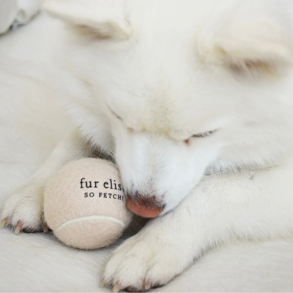 So Fetch! Tennis Ball - Noire - Image 4