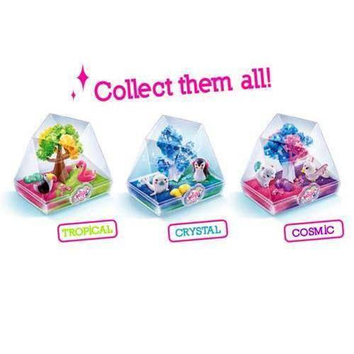 So Magic DIY - Medium Size Terrarium Kit - Choose a pack - Image 3
