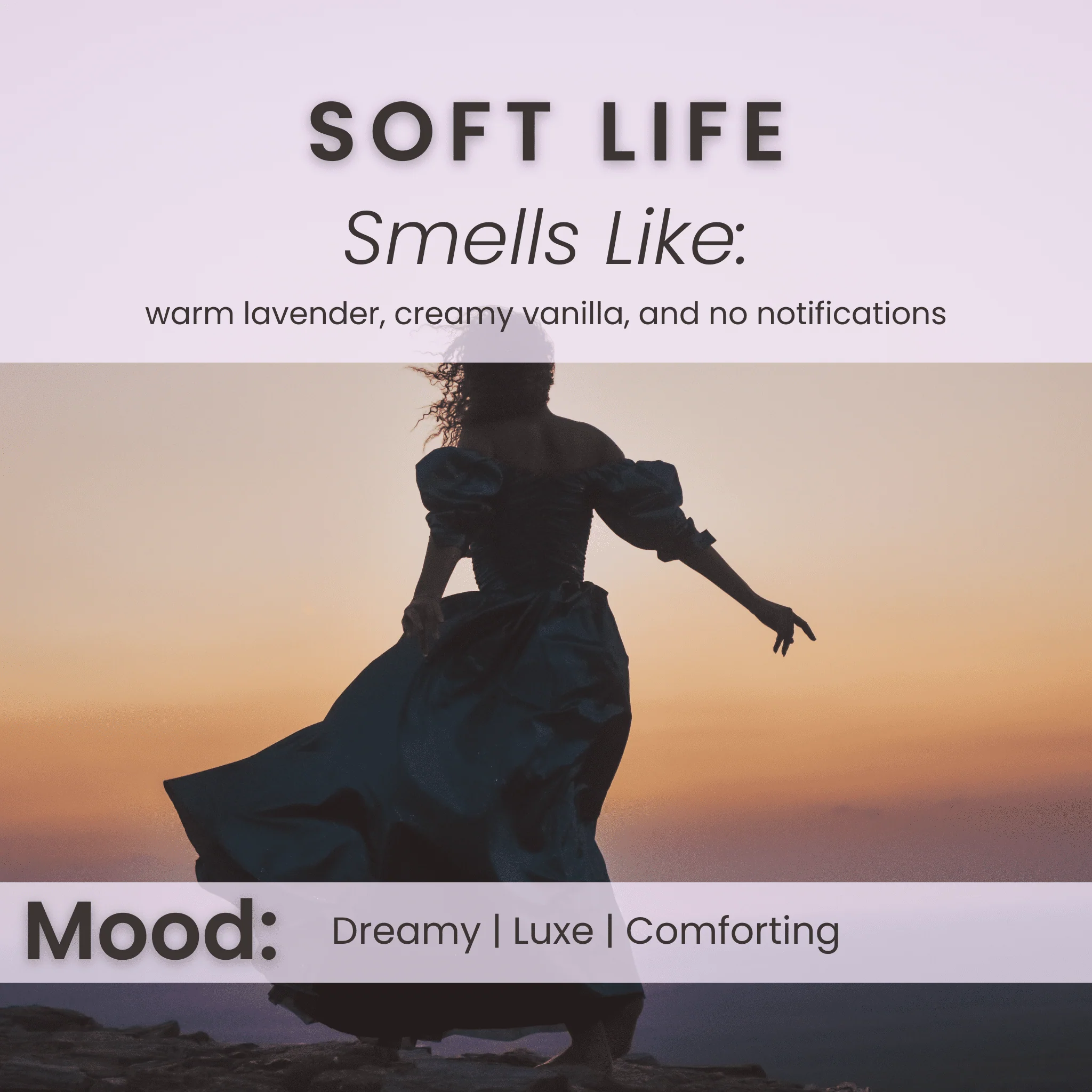 Soft Life - Lavender & Vanilla Soy Wax Melts - Image 3