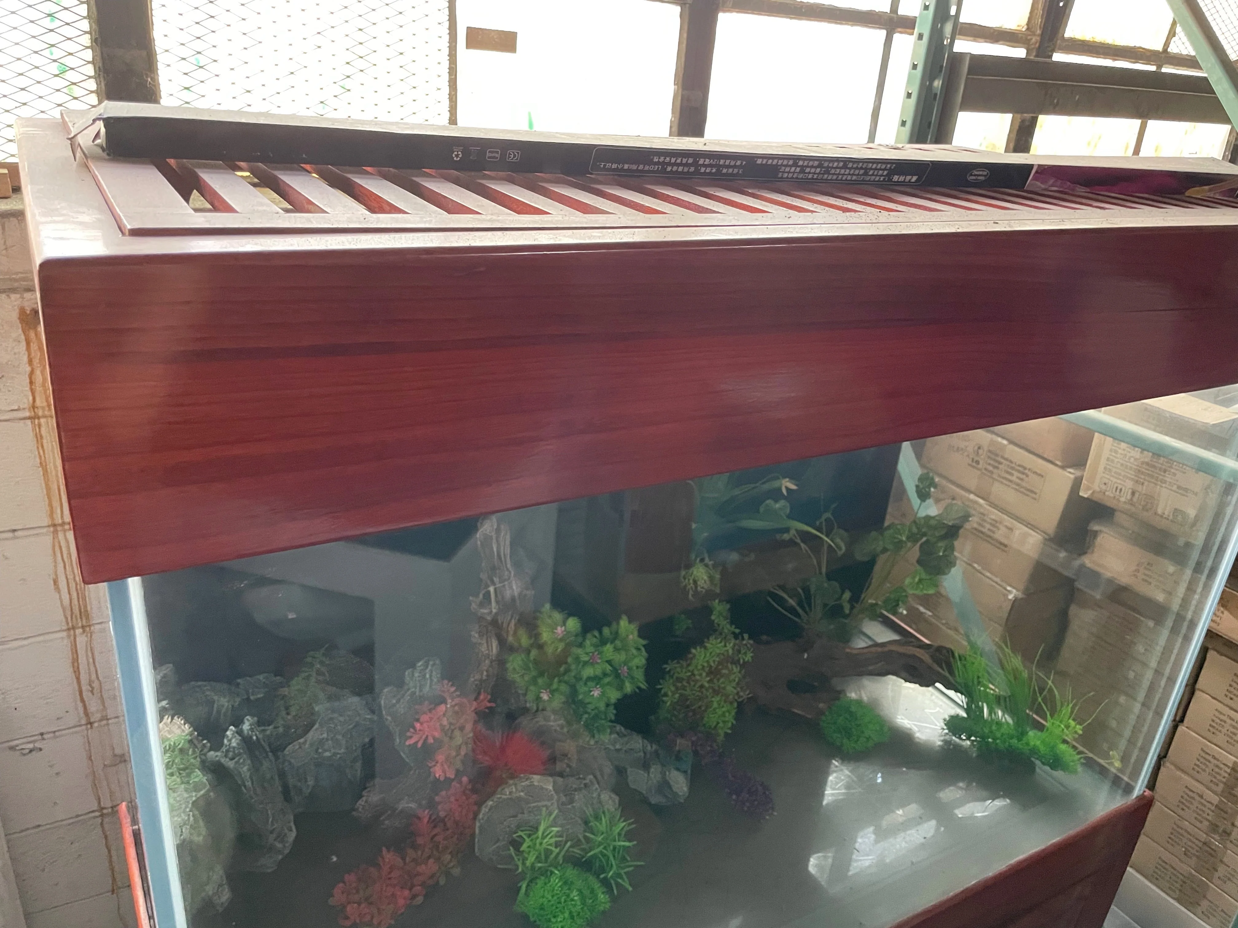 SOLID WOOD 160 Gallon Ultraclear Starphire Glass Reef-Ready Aquarium in Premium Cherry Solid Wood Furniture - Image 3