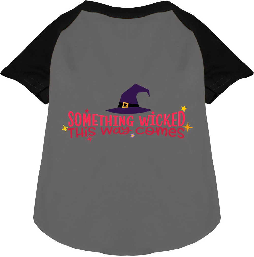 Something Wicked This Way Comes Pet Raglan Shirt - Image 3