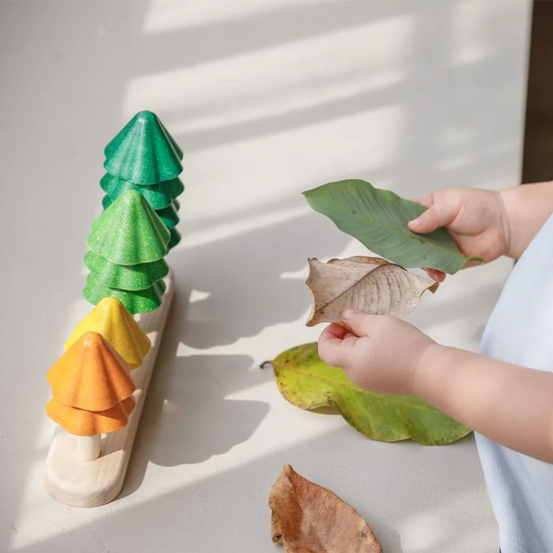 Sort & Count Trees - Image 4