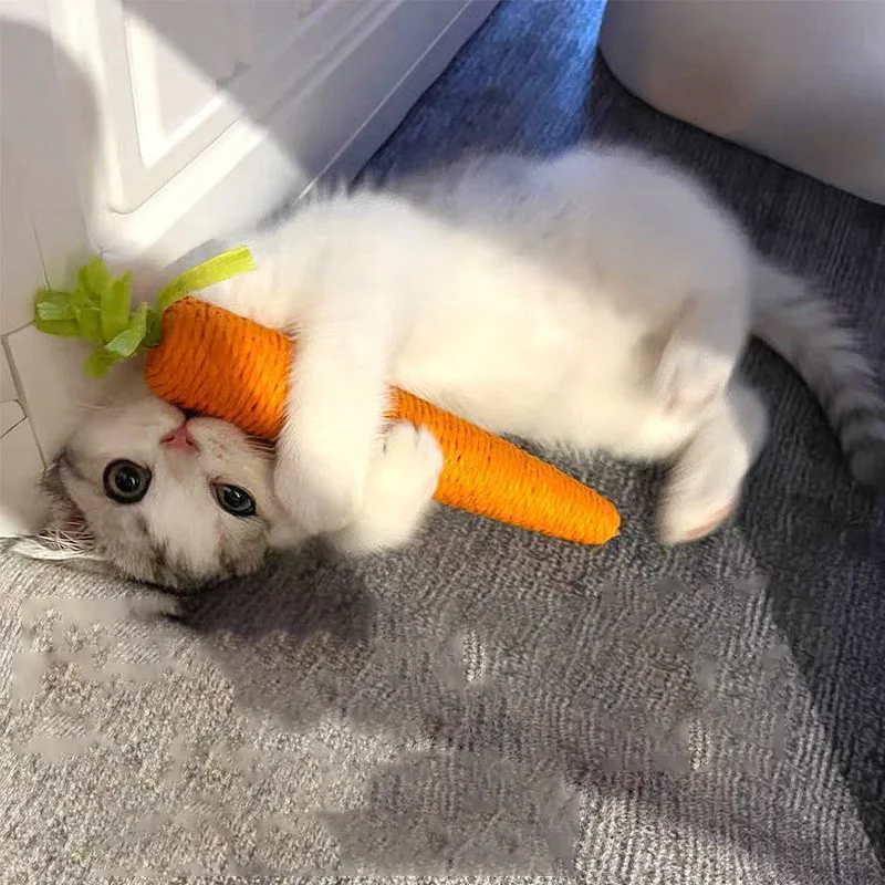 Sound Carrot Cat Toy | Teething & Anti-Bite Cuddle Stick for Cats - Image 3