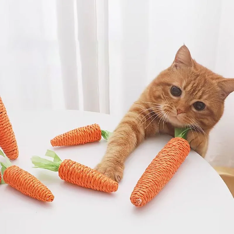 Sound Carrot Cat Toy | Teething & Anti-Bite Cuddle Stick for Cats - Image 4