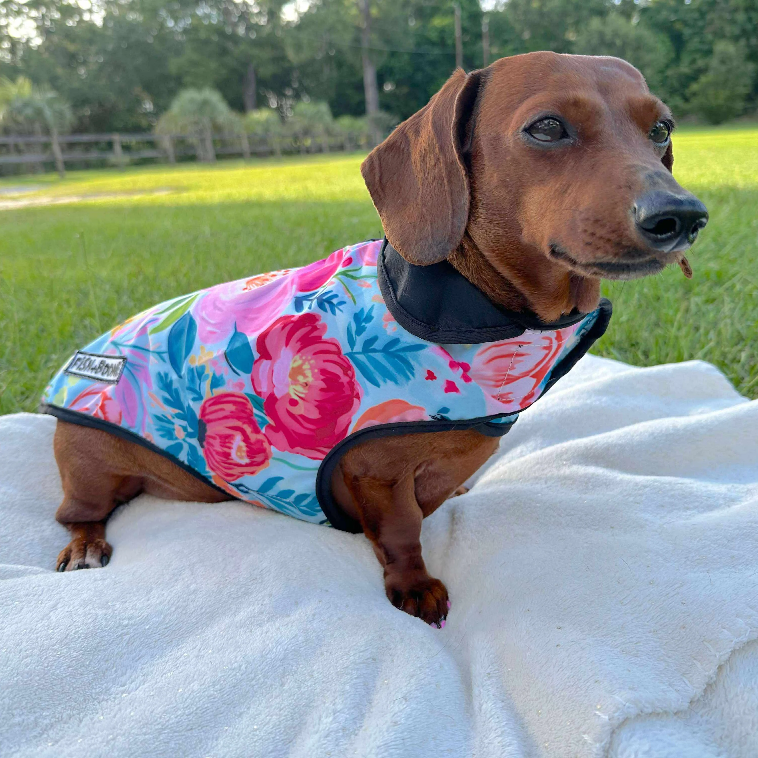 Southern Bloom Dog Coat - Image 2