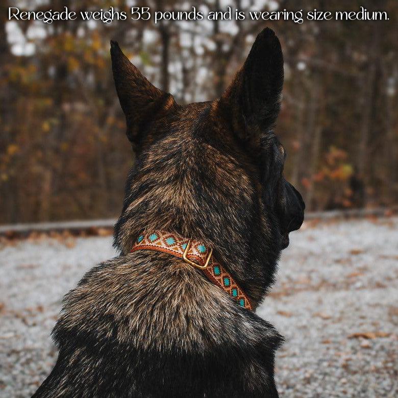 Southwest Spirit Collar - Image 5