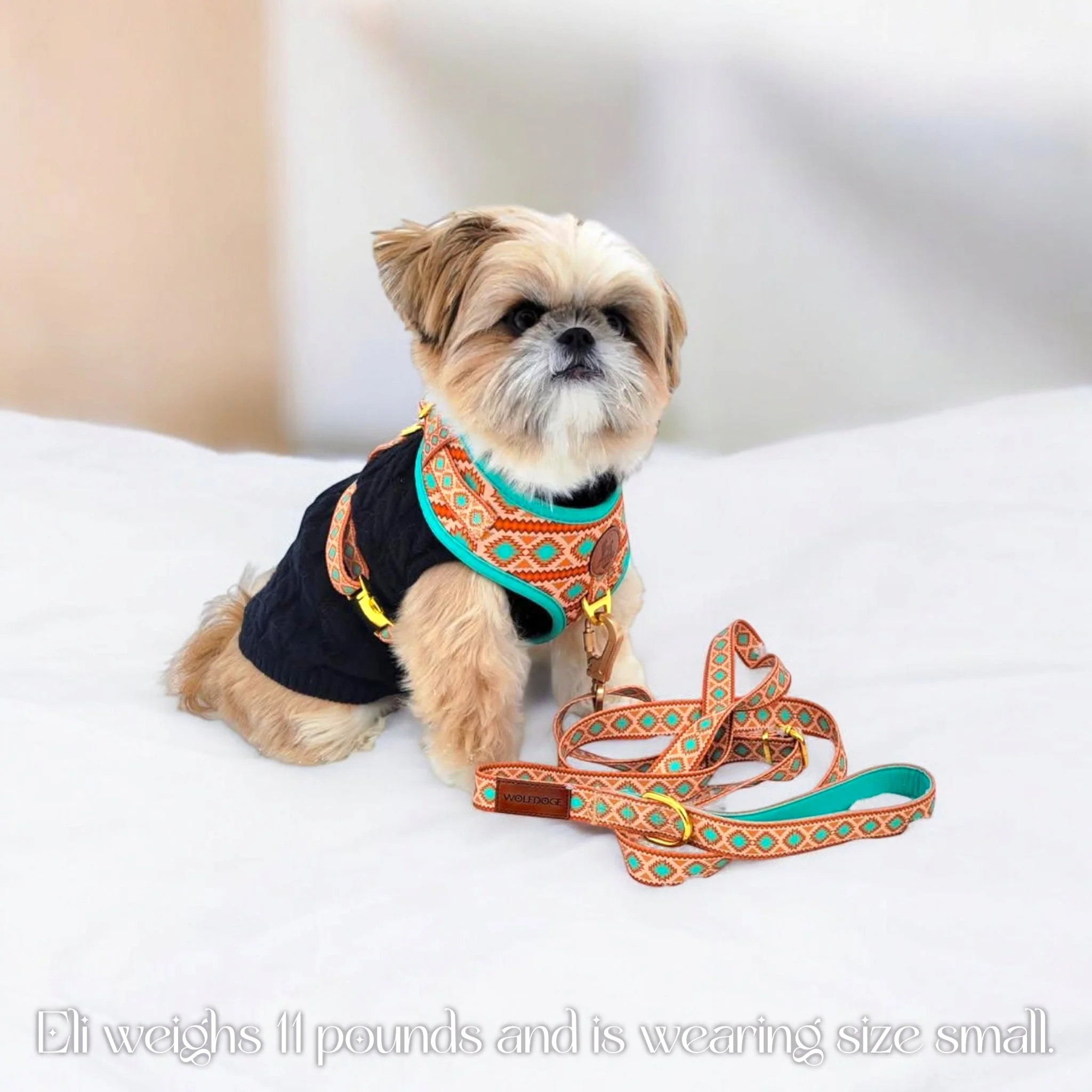 Southwest Spirit Harness - Image 4