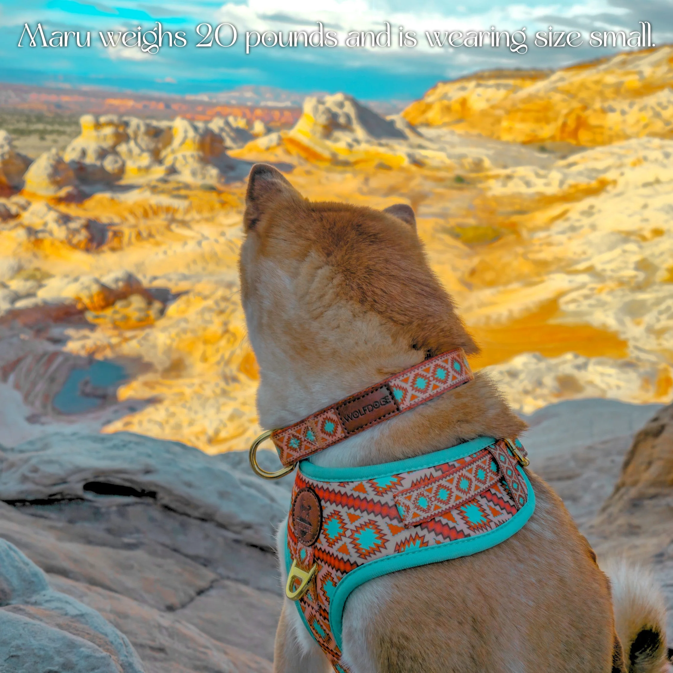 Southwest Spirit Harness - Image 5
