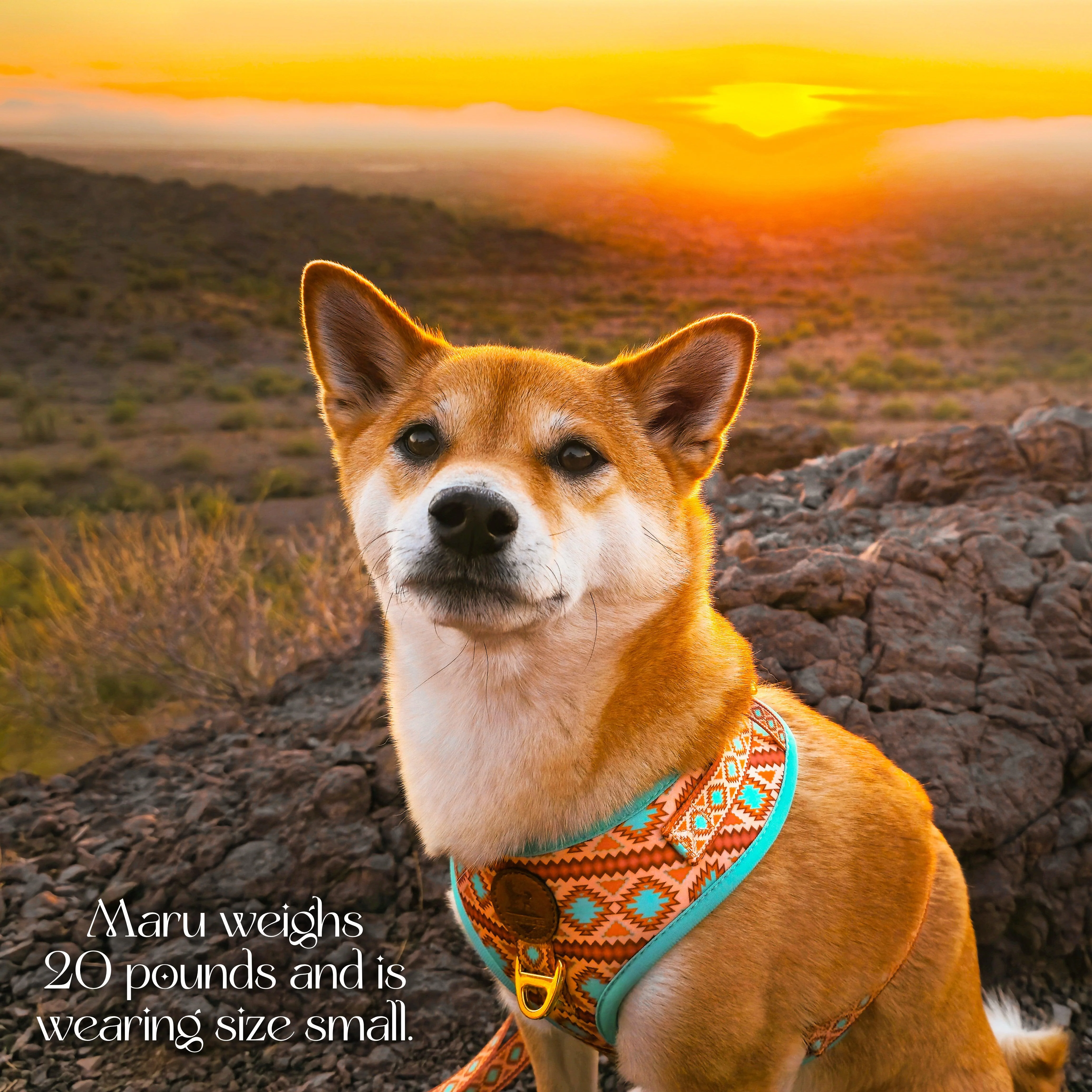 Southwest Spirit Harness - Image 6