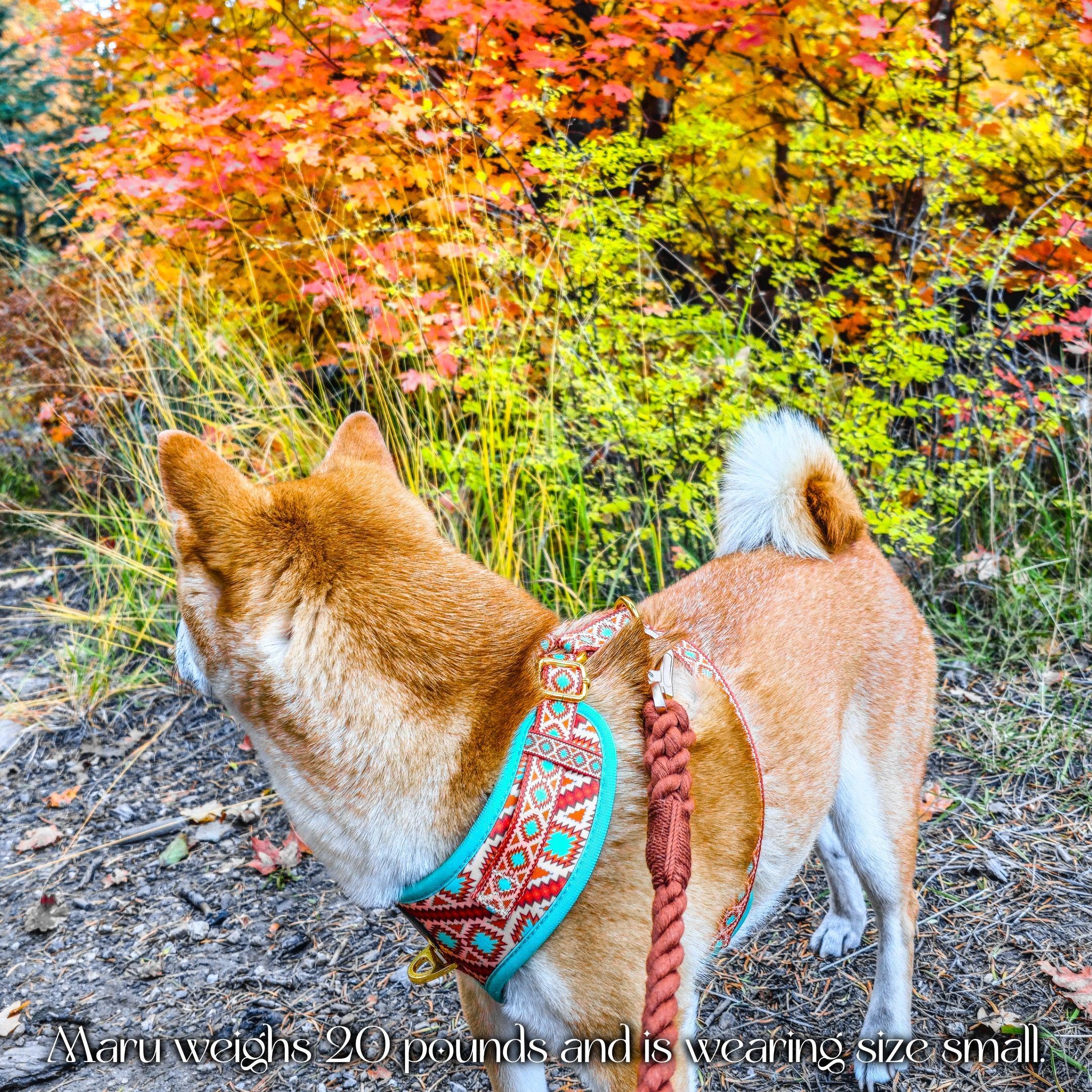 Southwest Spirit Harness - Image 7