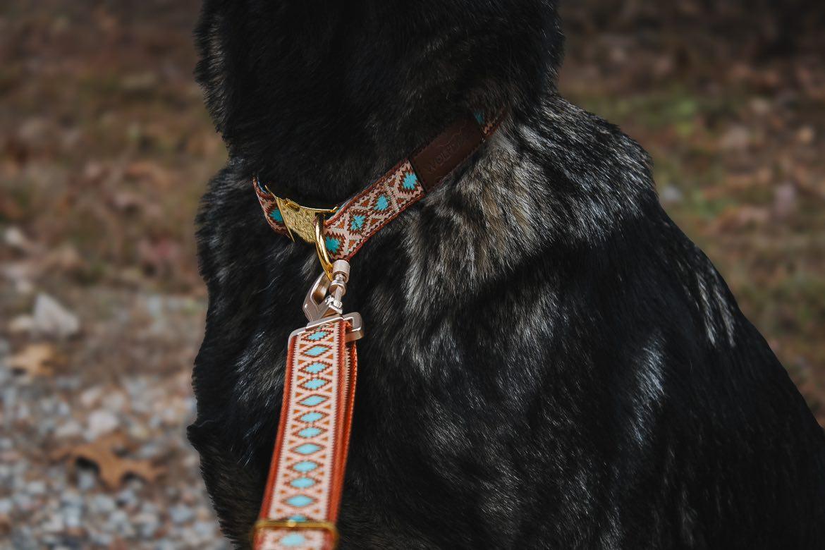 Southwest Spirit Leash - Image 4